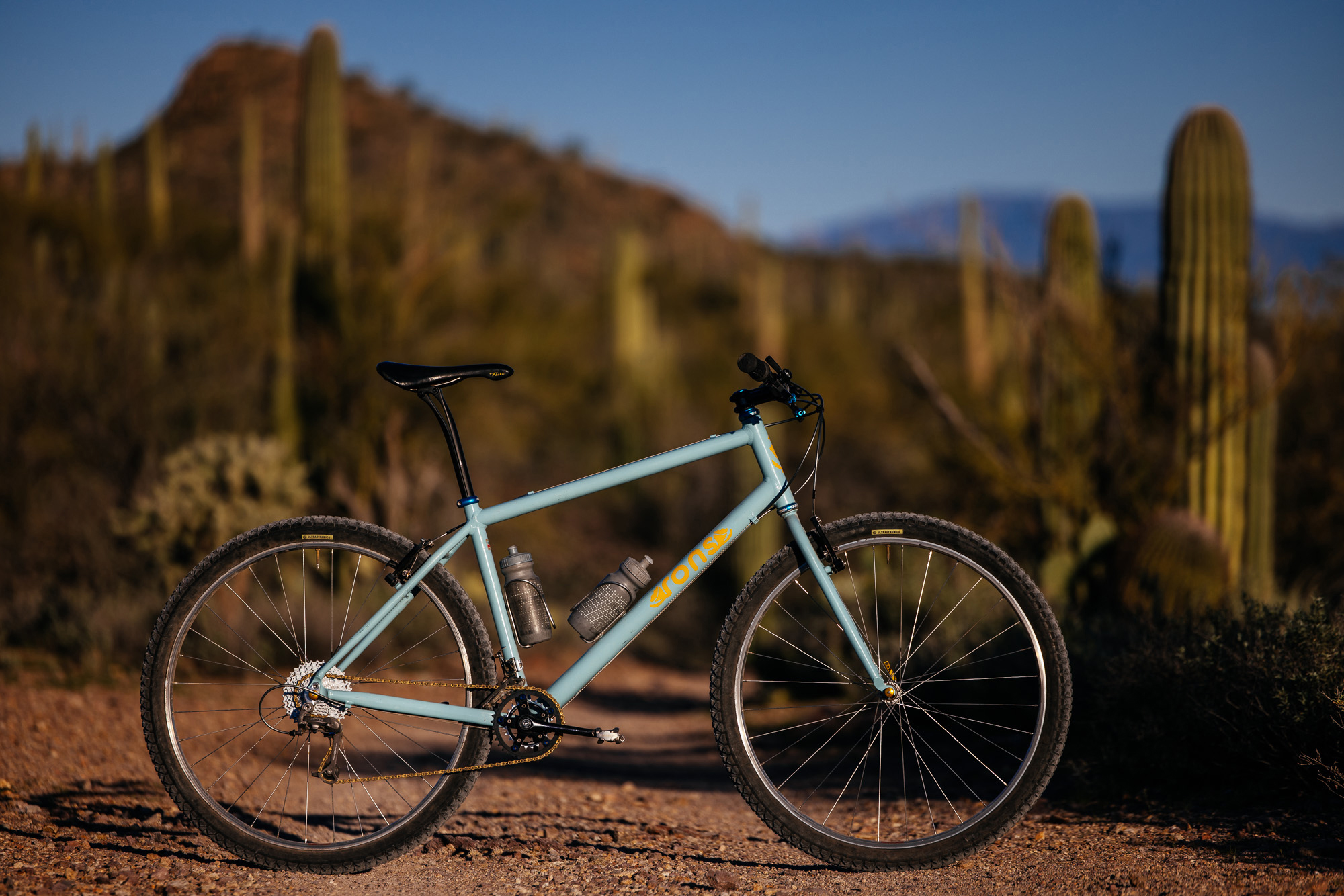 Ronnie and His R-Werks BLOOOO EVOO 29er