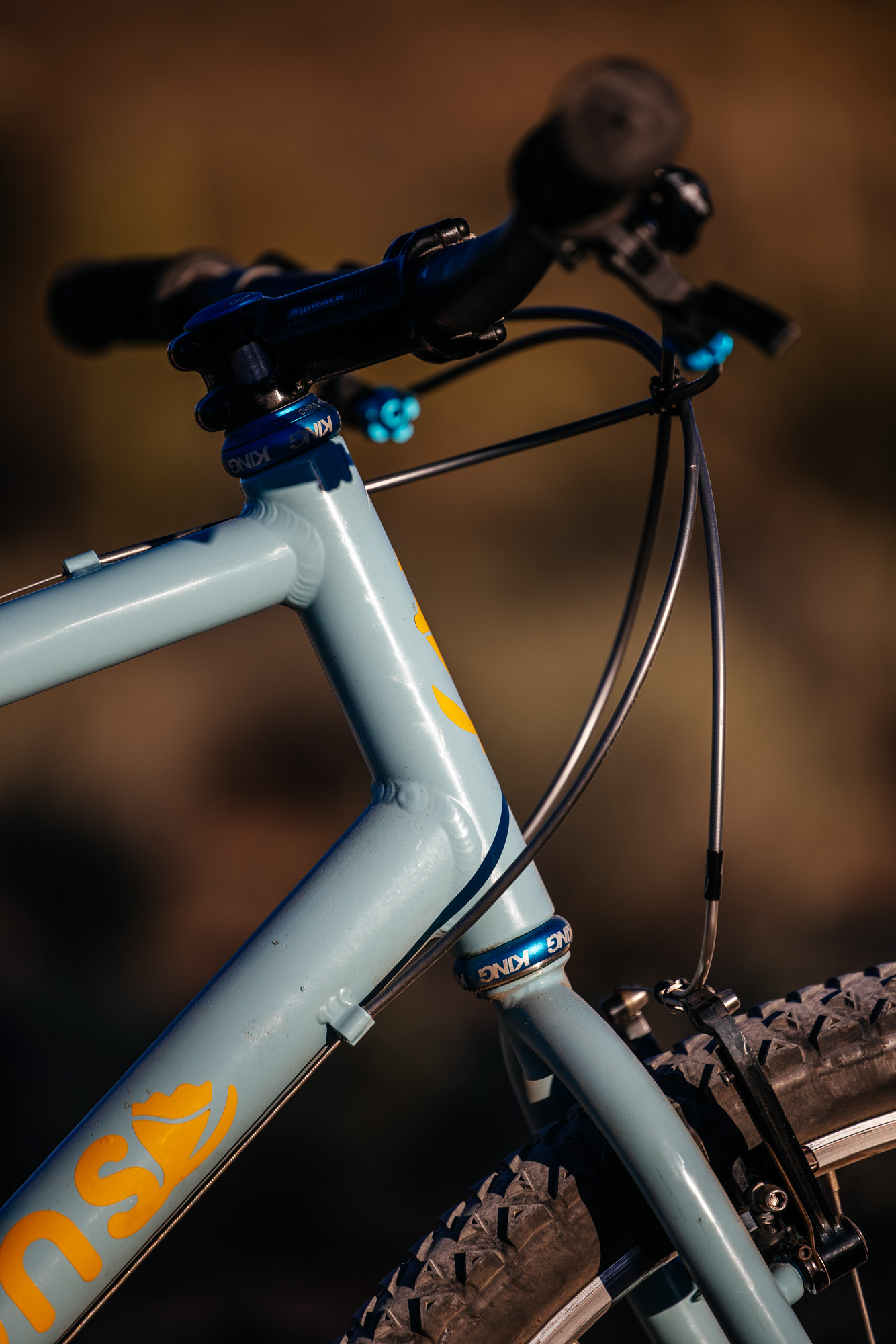 Ronnie and His R-Werks BLOOOO EVOO 29er