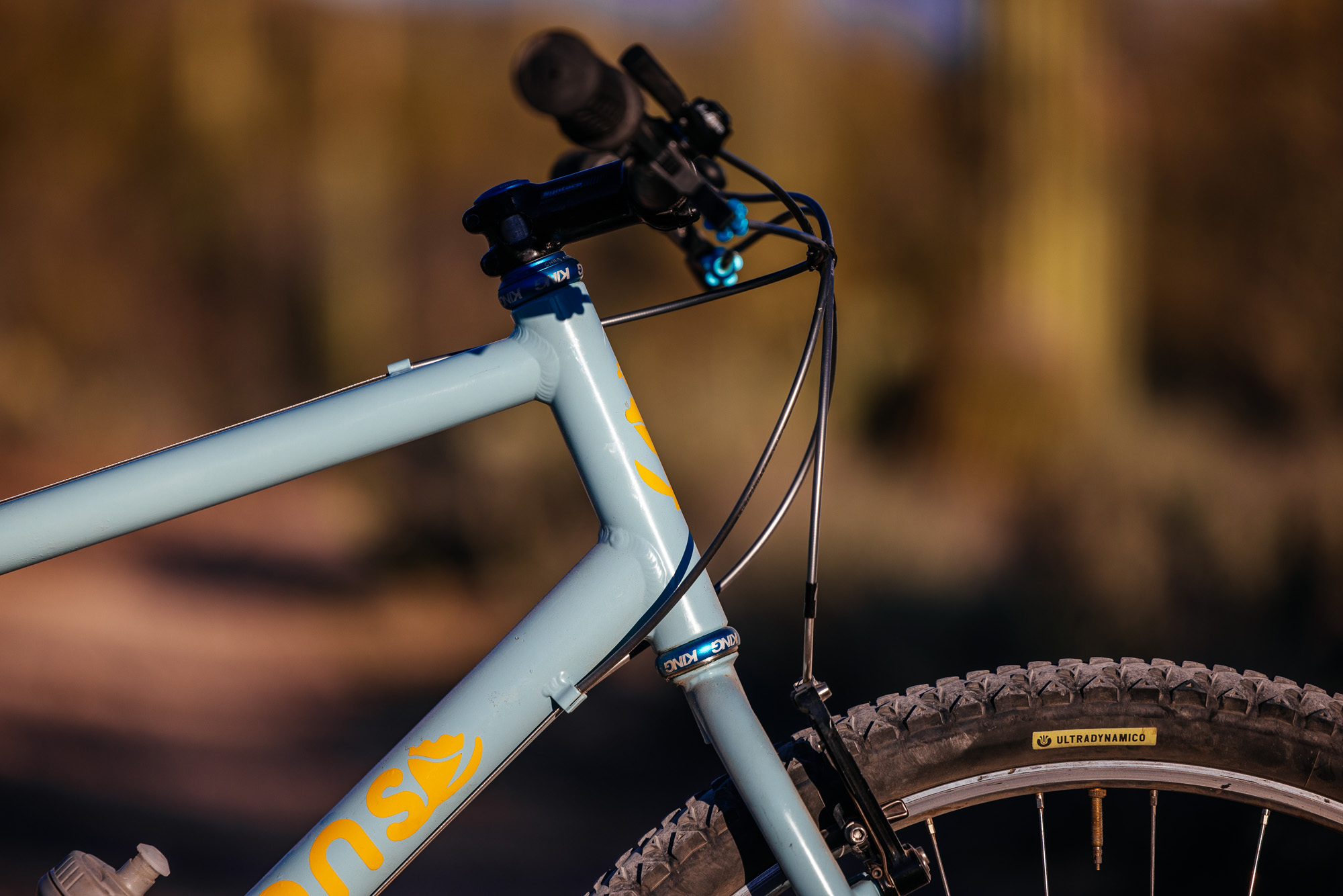 Ronnie and His R-Werks BLOOOO EVOO 29er