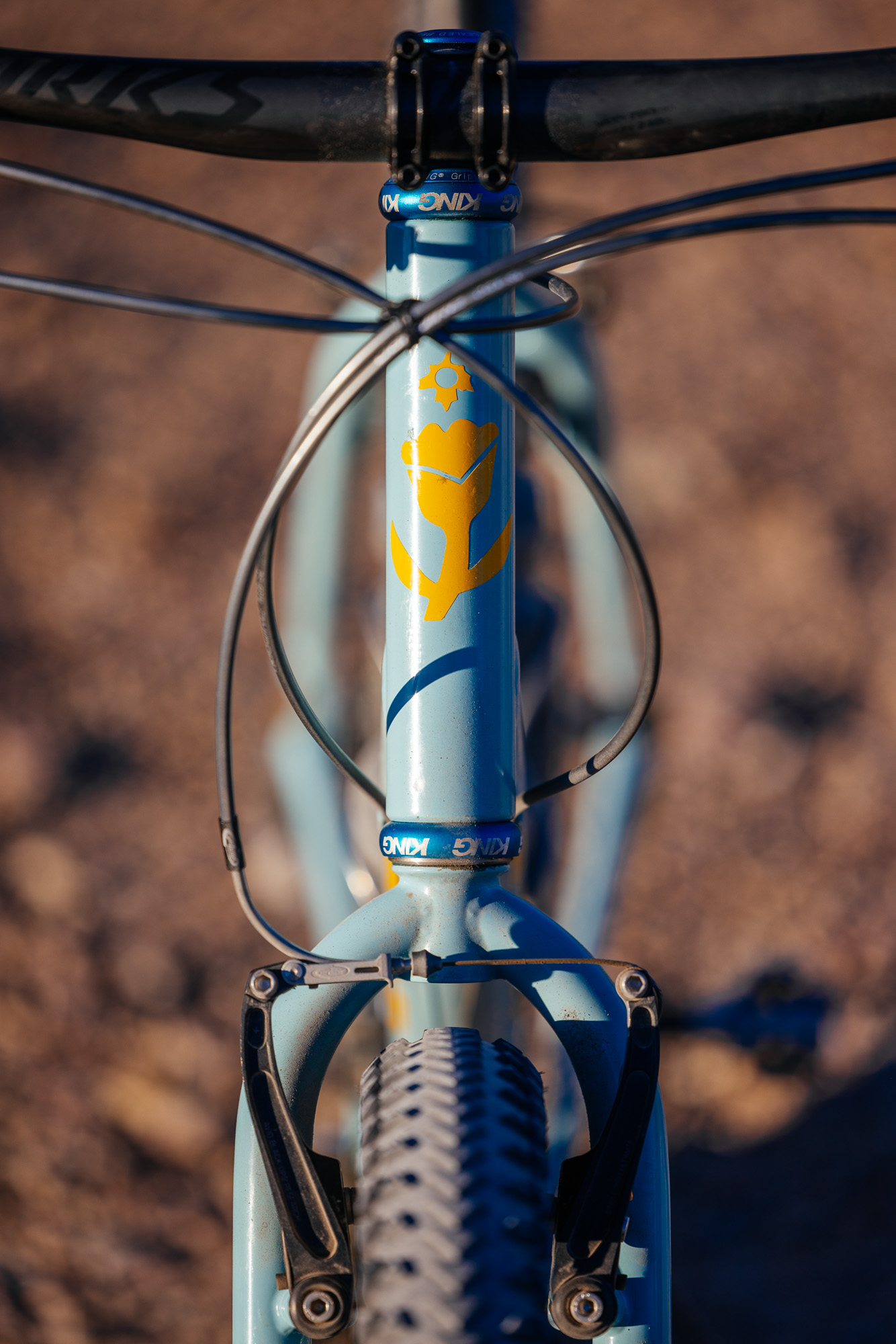 Ronnie and His R-Werks BLOOOO EVOO 29er