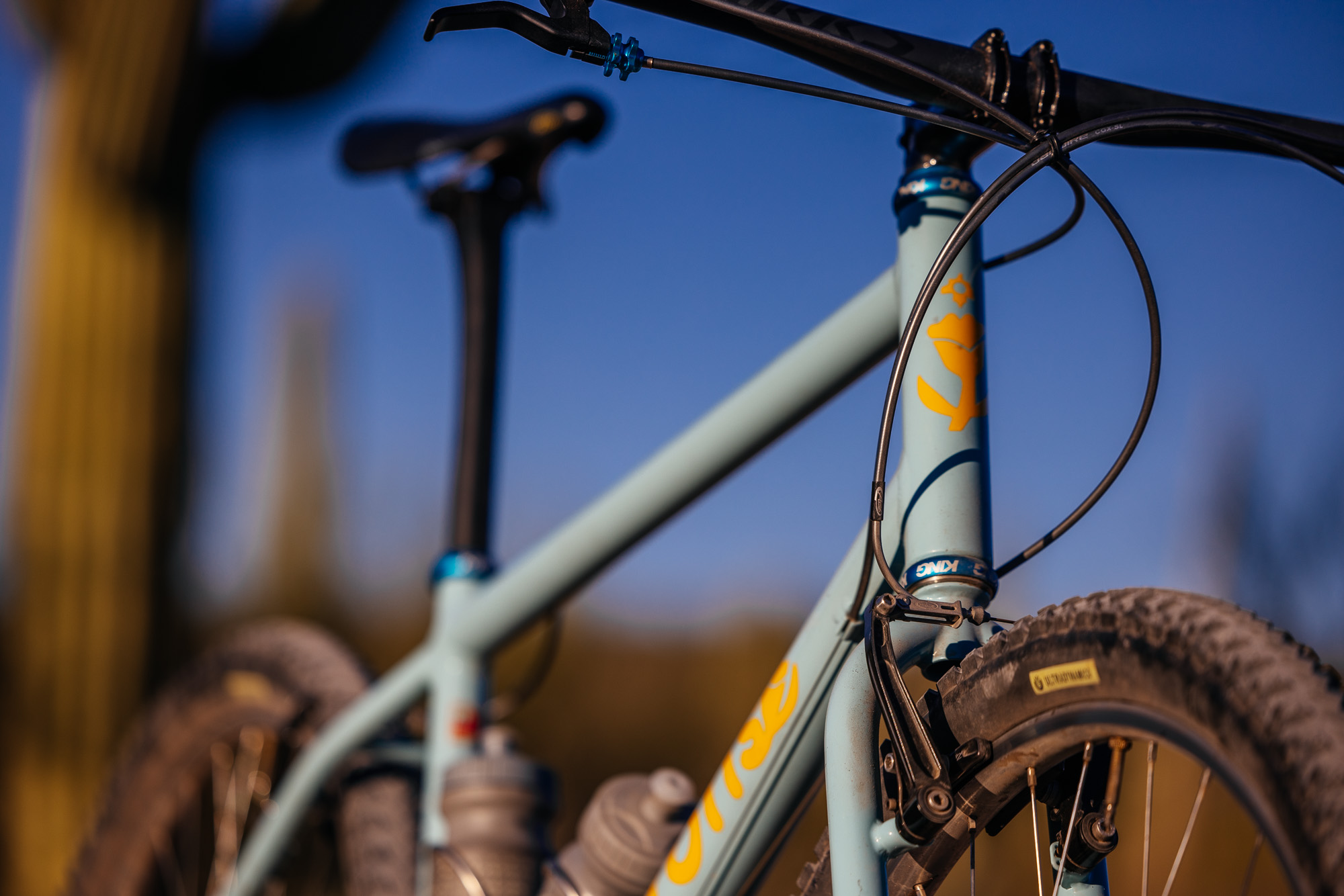 Ronnie and His R-Werks BLOOOO EVOO 29er