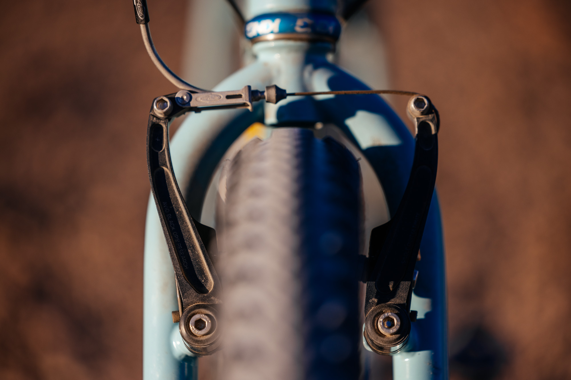 Ronnie and His R-Werks BLOOOO EVOO 29er