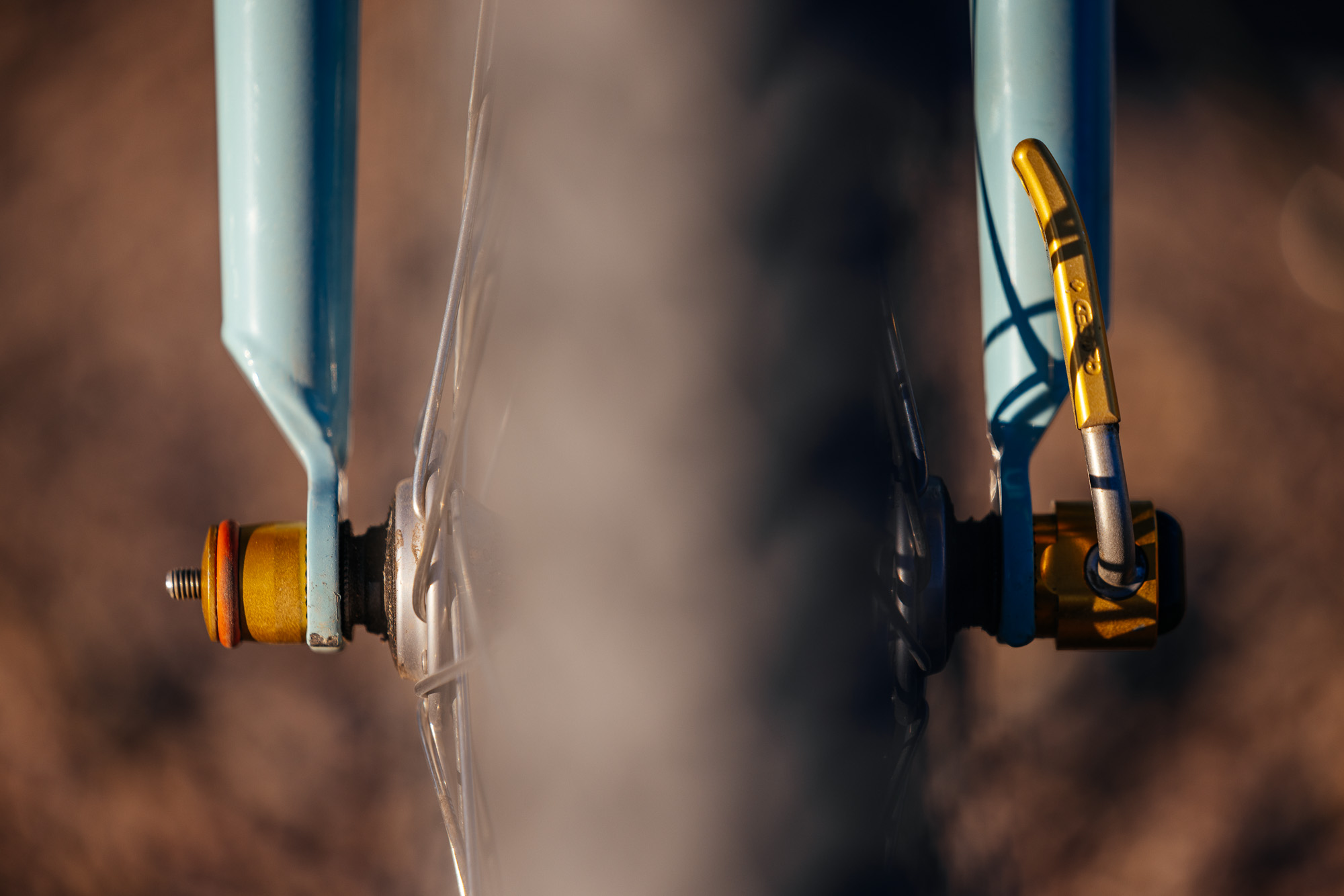 Ronnie and His R-Werks BLOOOO EVOO 29er