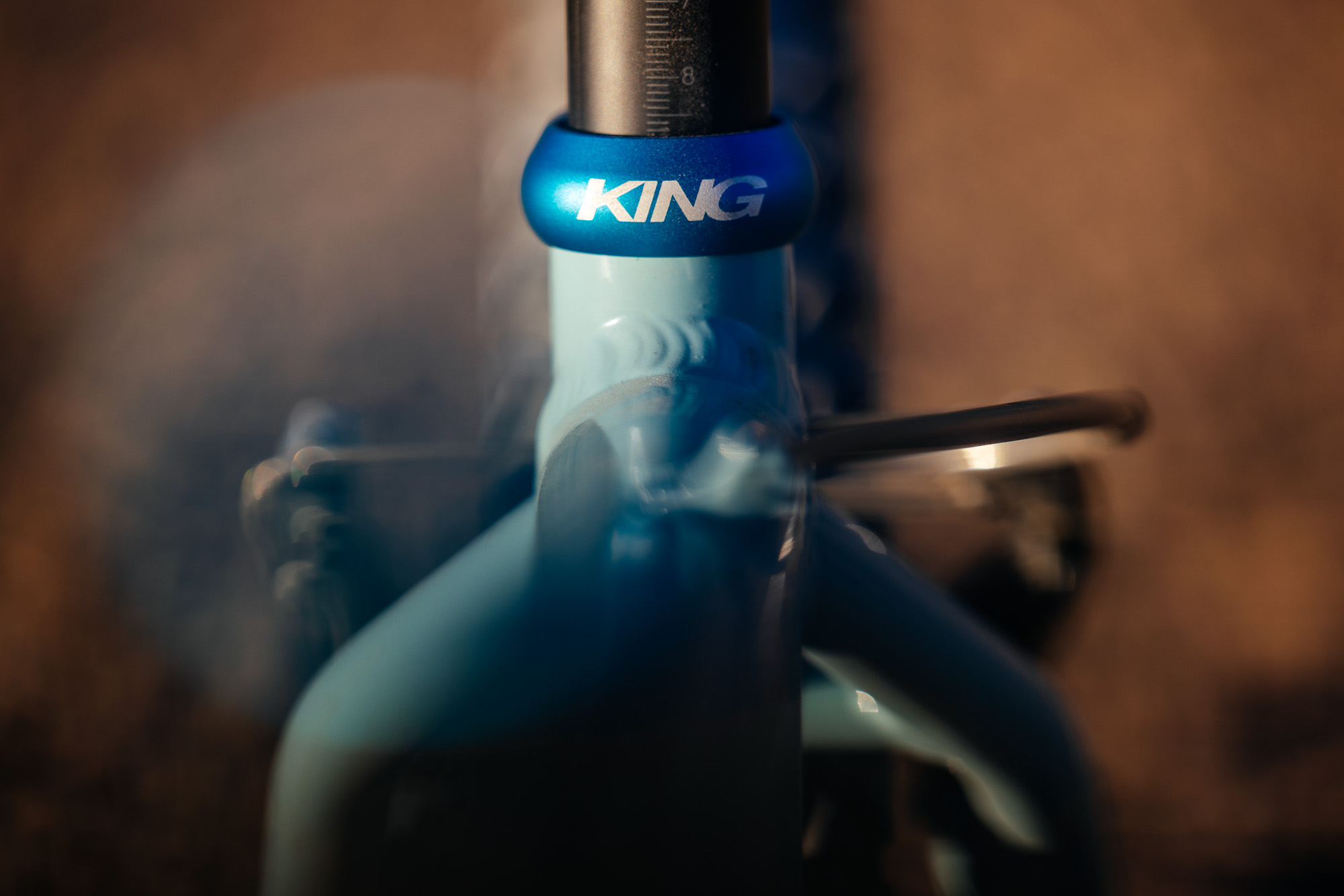 Ronnie and His R-Werks BLOOOO EVOO 29er