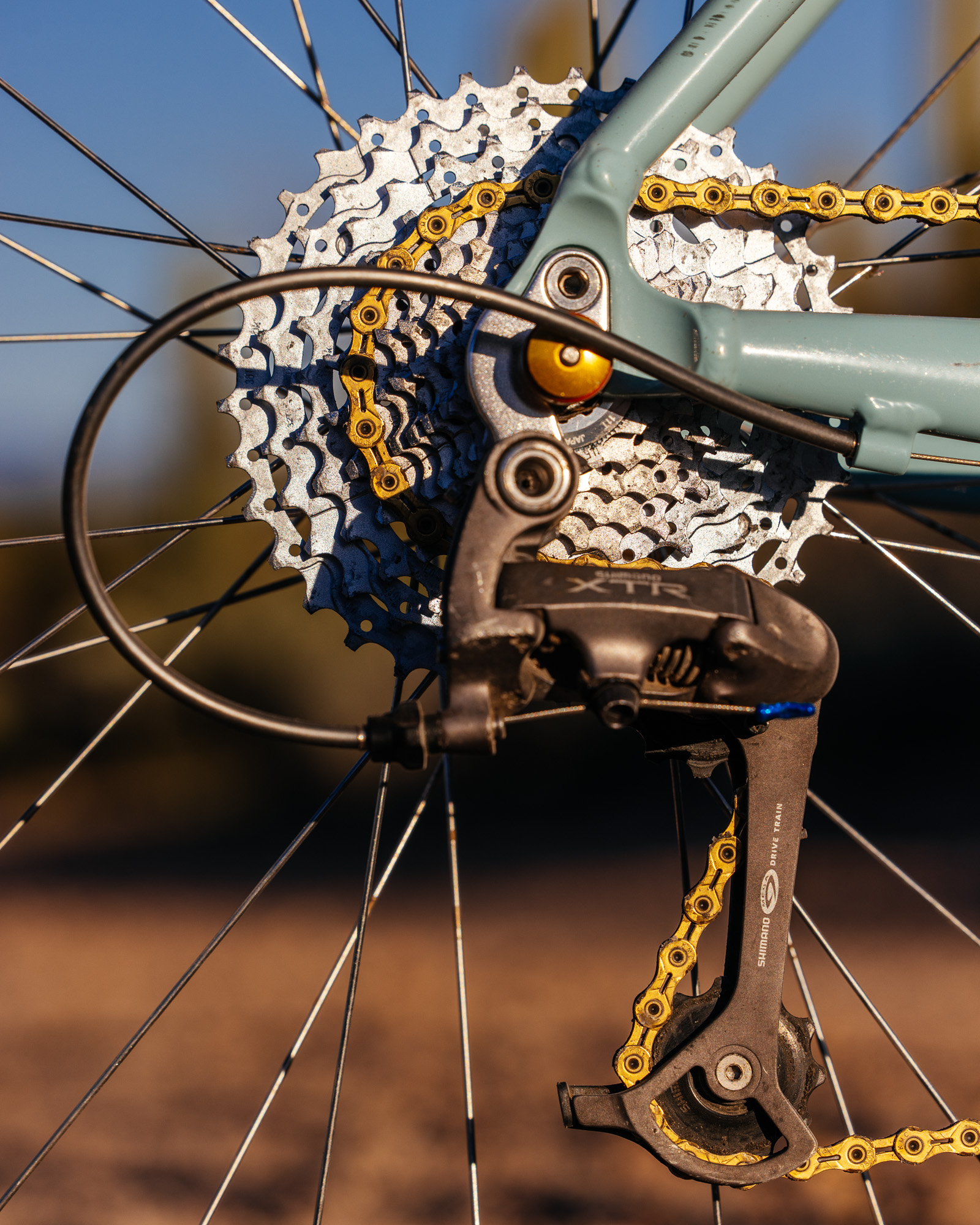 Ronnie and His R-Werks BLOOOO EVOO 29er