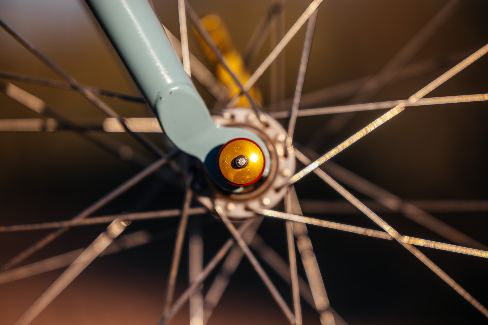 Ronnie and His R-Werks BLOOOO EVOO 29er