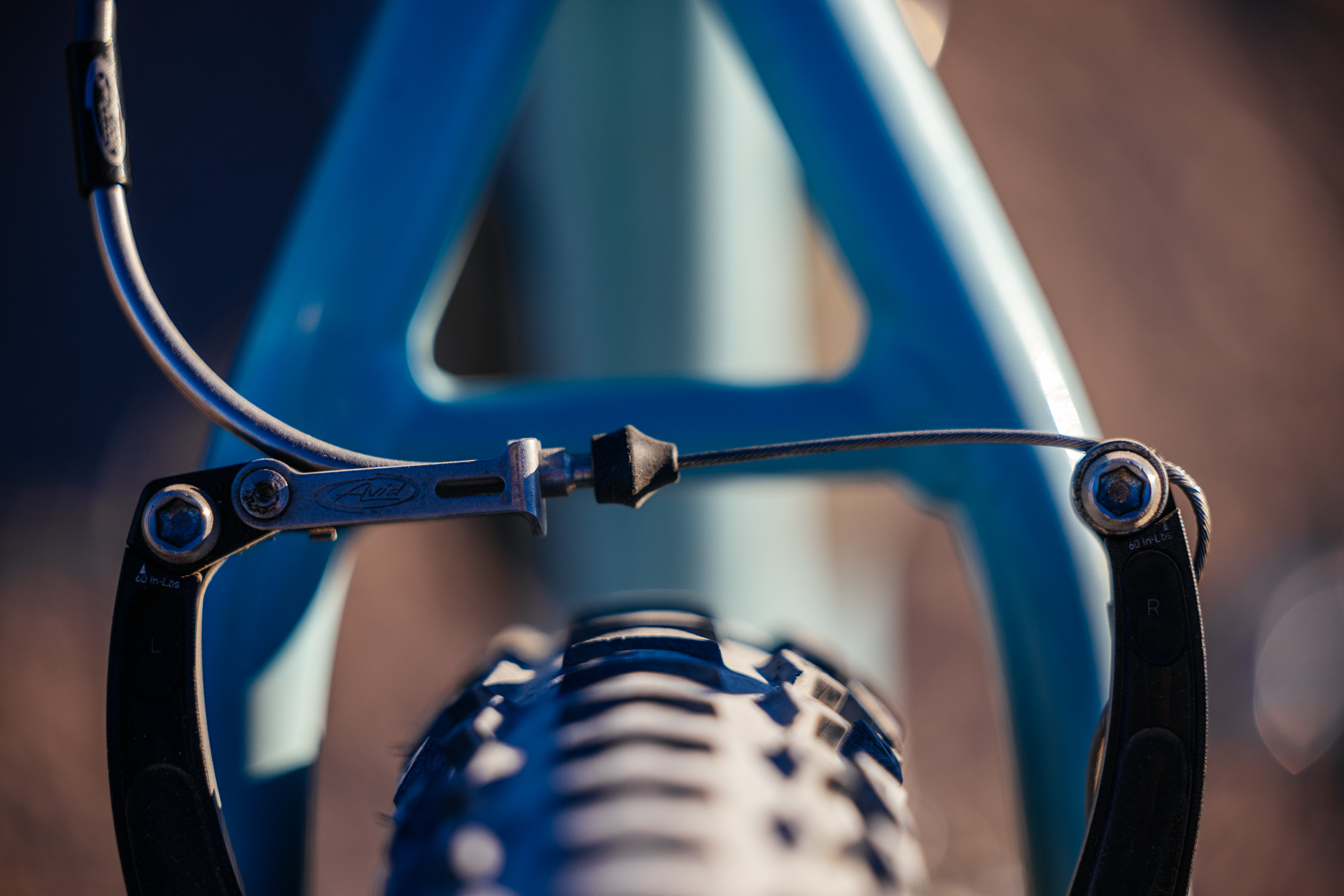 Ronnie and His R-Werks BLOOOO EVOO 29er