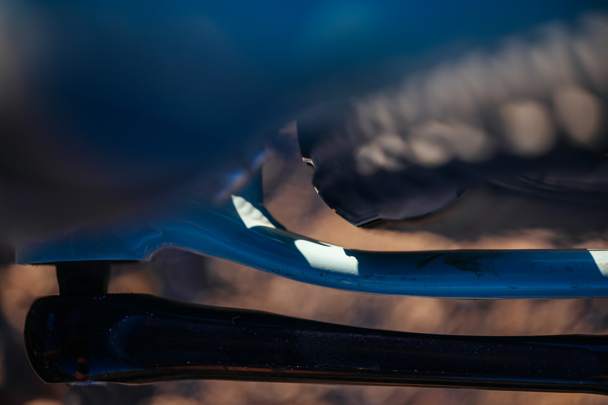 Ronnie and His R-Werks BLOOOO EVOO 29er