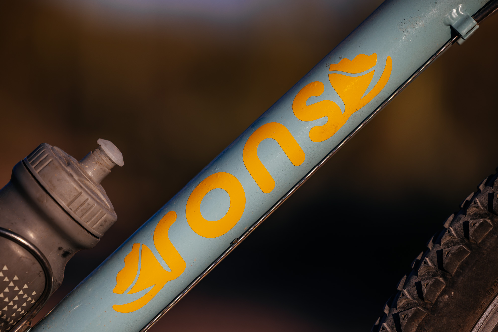 Ronnie and His R-Werks BLOOOO EVOO 29er