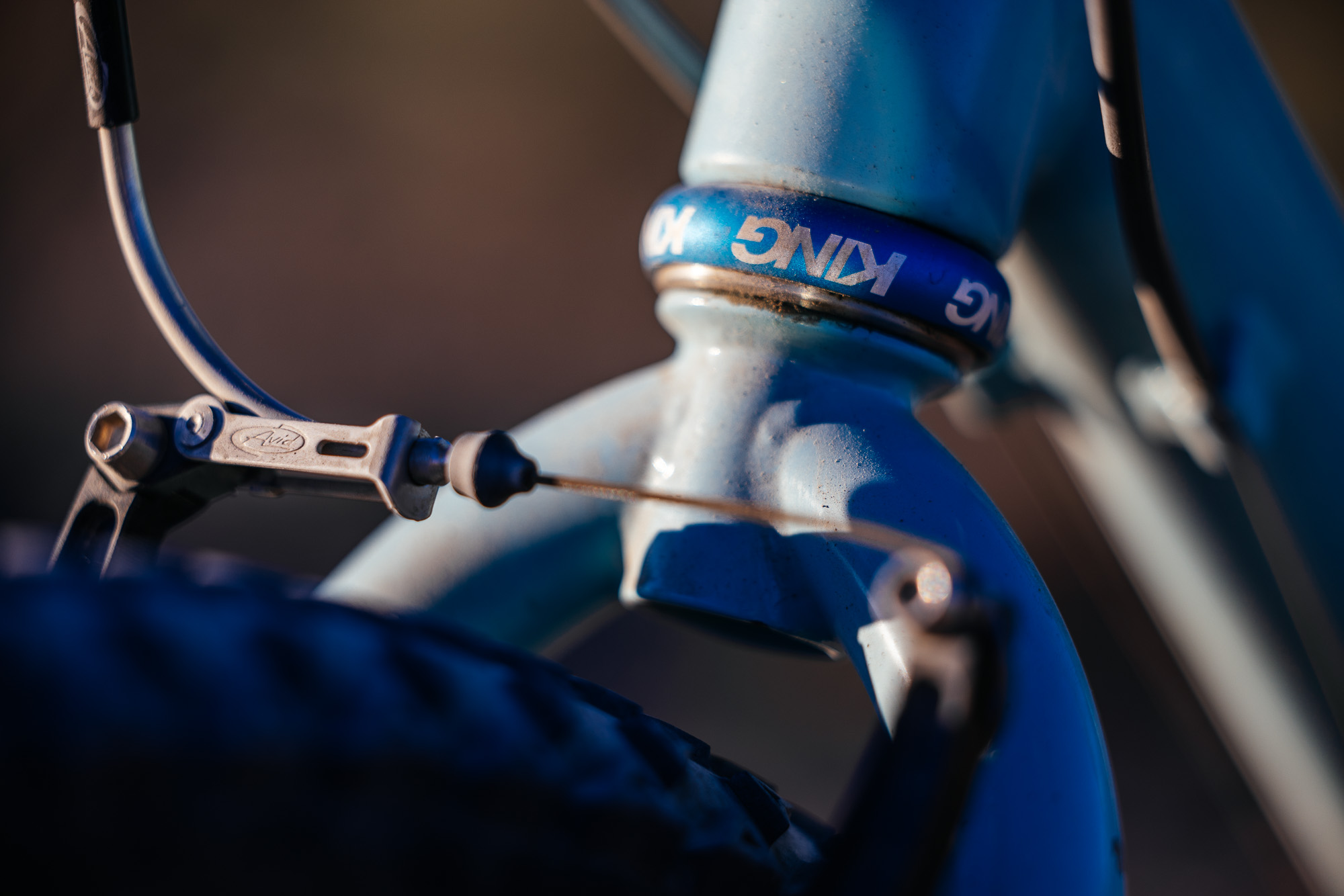 Ronnie and His R-Werks BLOOOO EVOO 29er