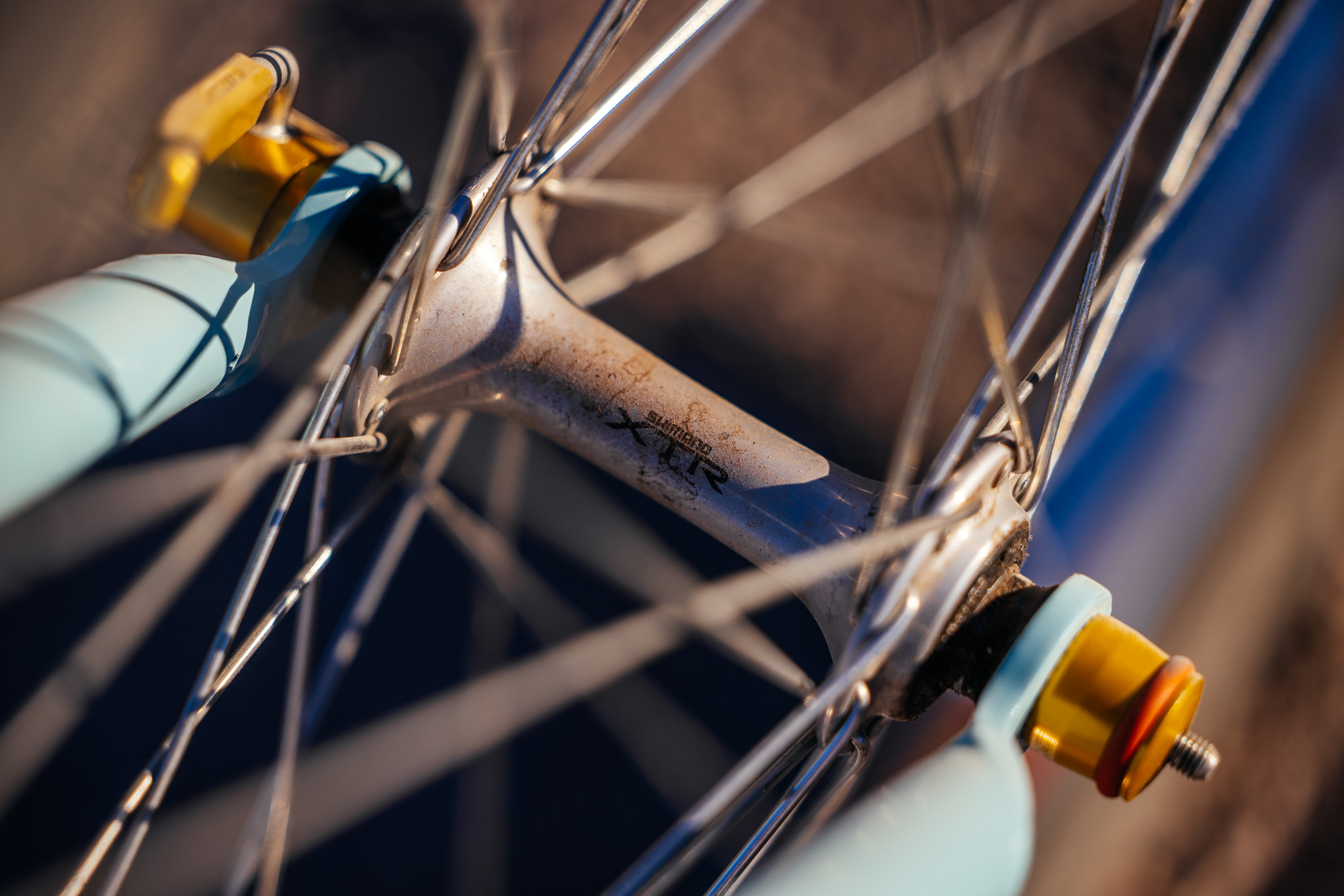 Ronnie and His R-Werks BLOOOO EVOO 29er