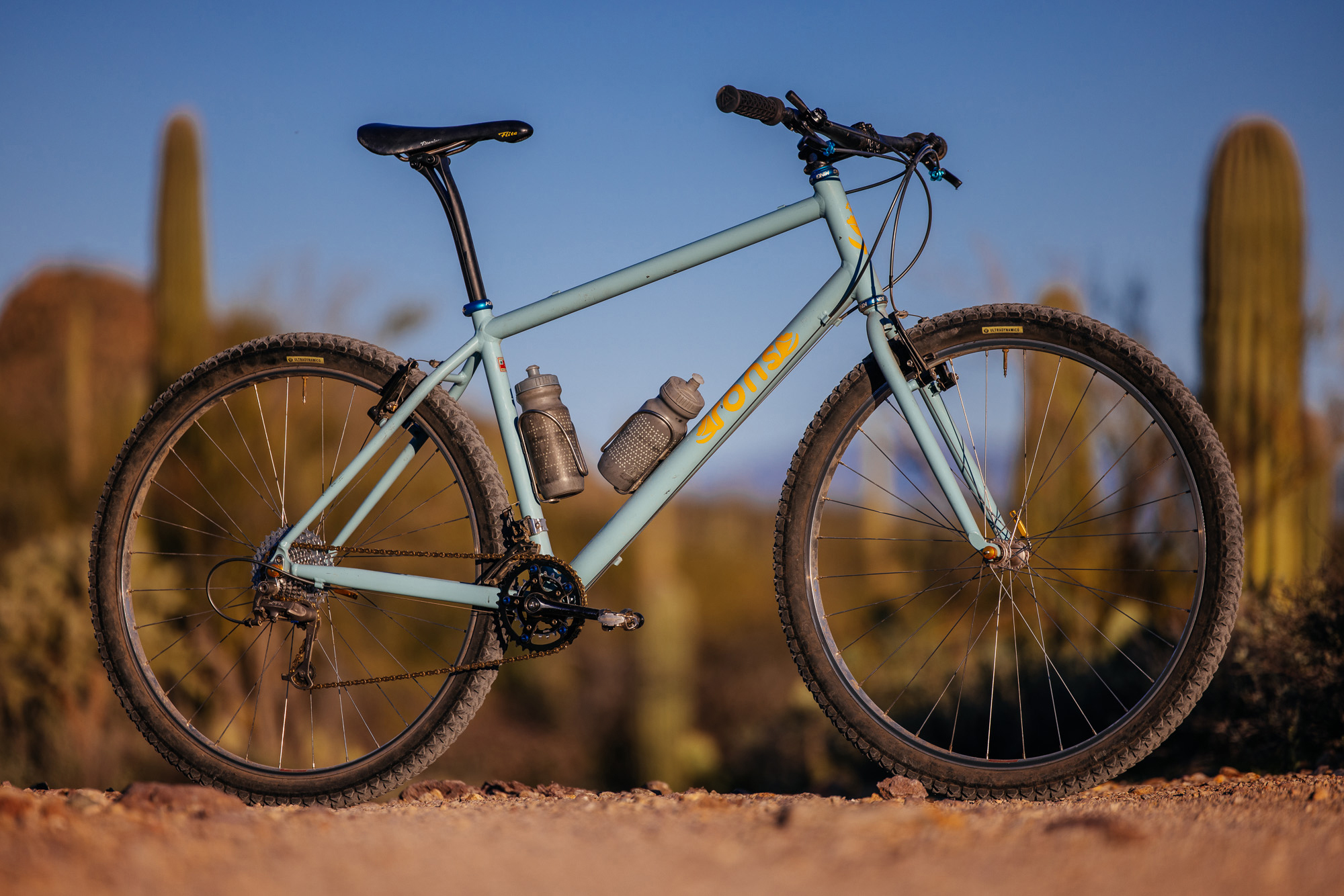 Ronnie and His R-Werks BLOOOO EVOO 29er