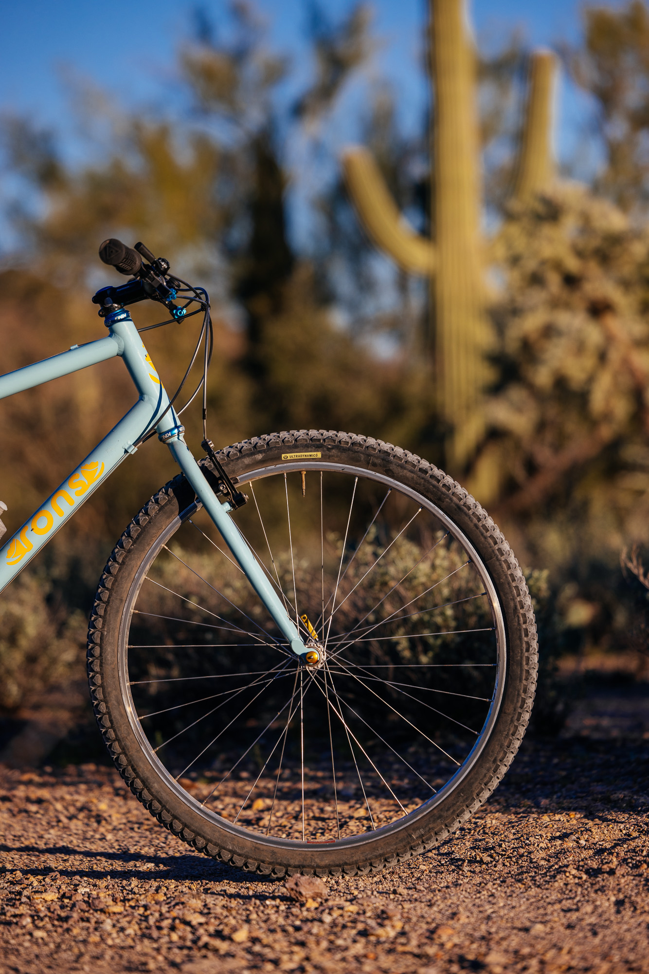 Ronnie and His R-Werks BLOOOO EVOO 29er