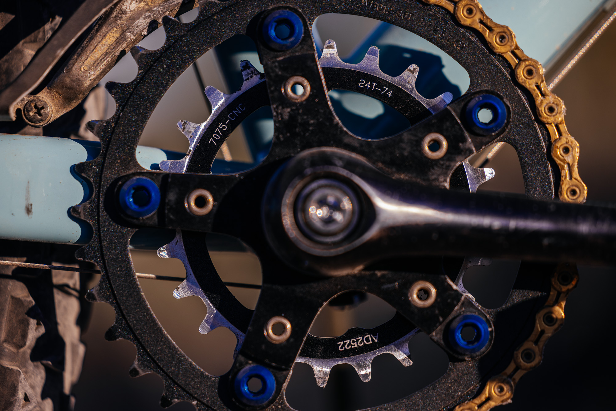 Ronnie and His R-Werks BLOOOO EVOO 29er