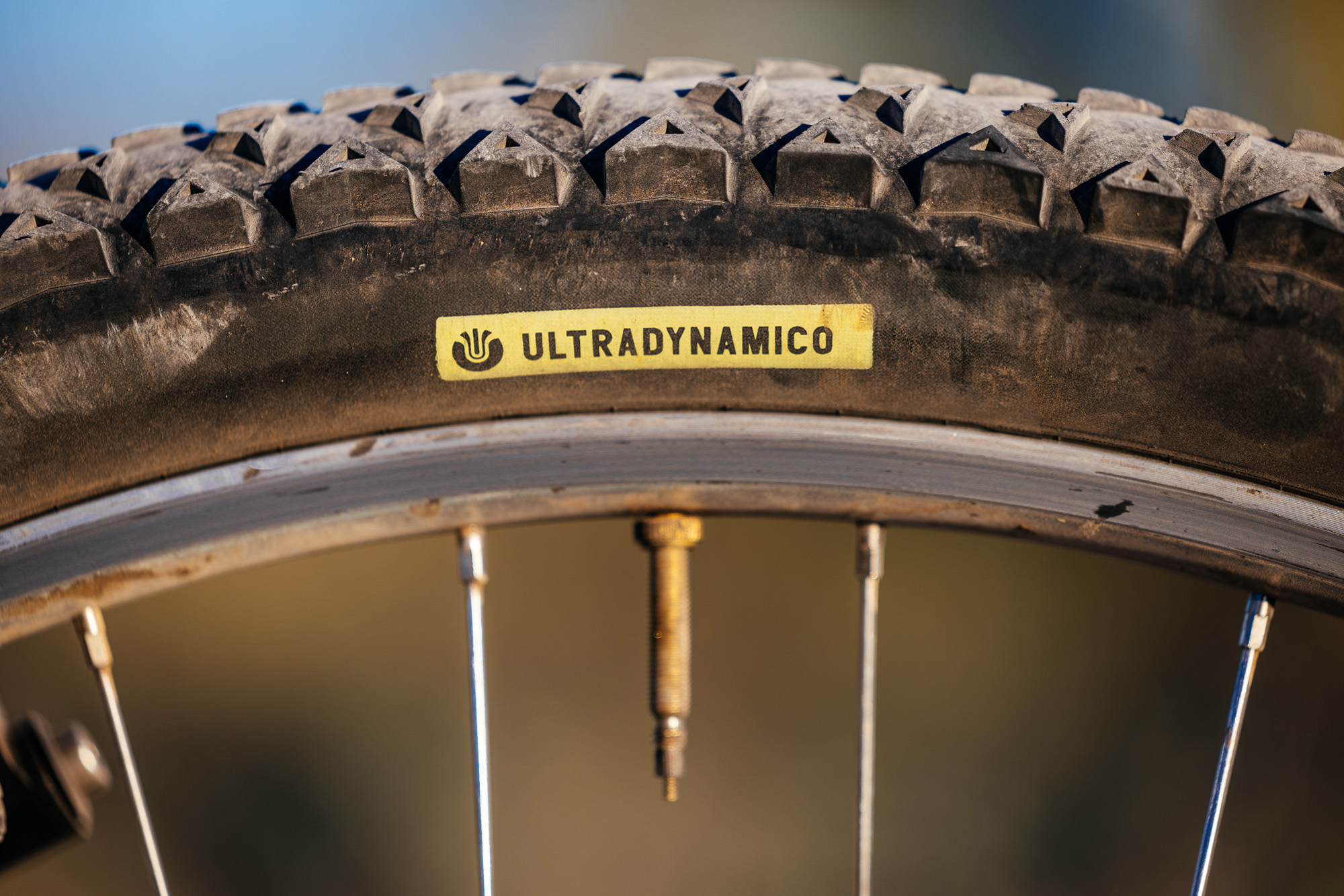 Ronnie and His R-Werks BLOOOO EVOO 29er