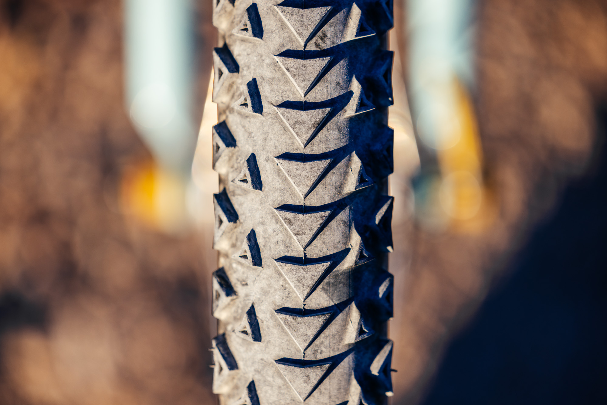 Ronnie and His R-Werks BLOOOO EVOO 29er