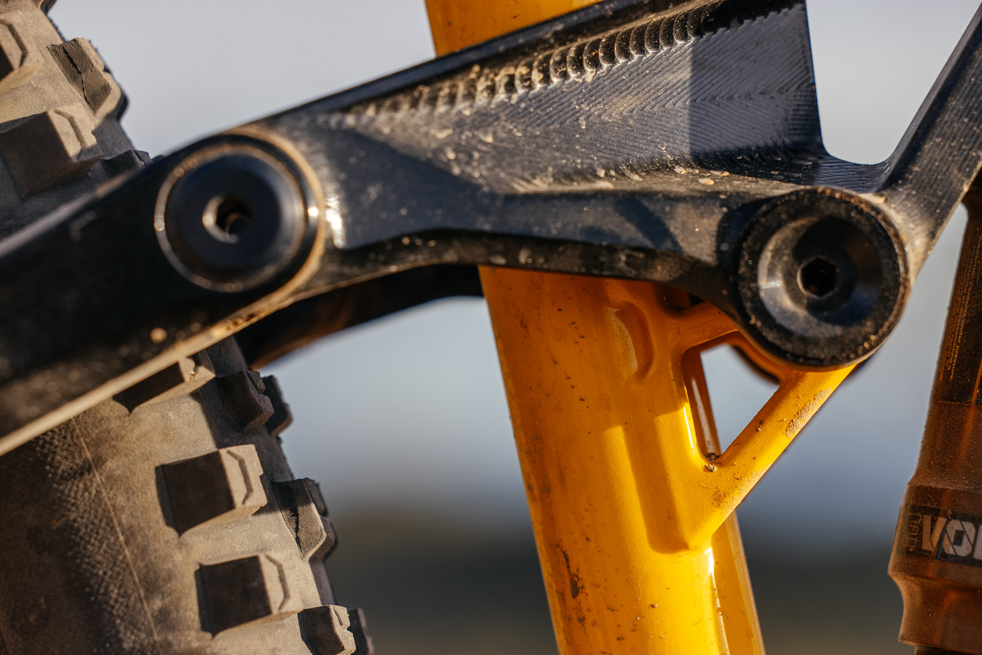 Sour Bicycles Cowboy Cookie Review-120