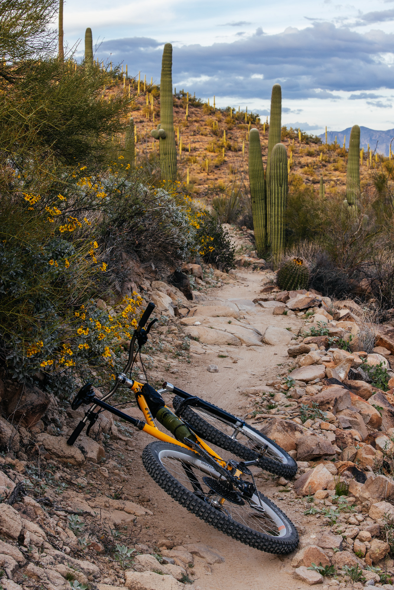 Sour Bicycles Cowboy Cookie Review