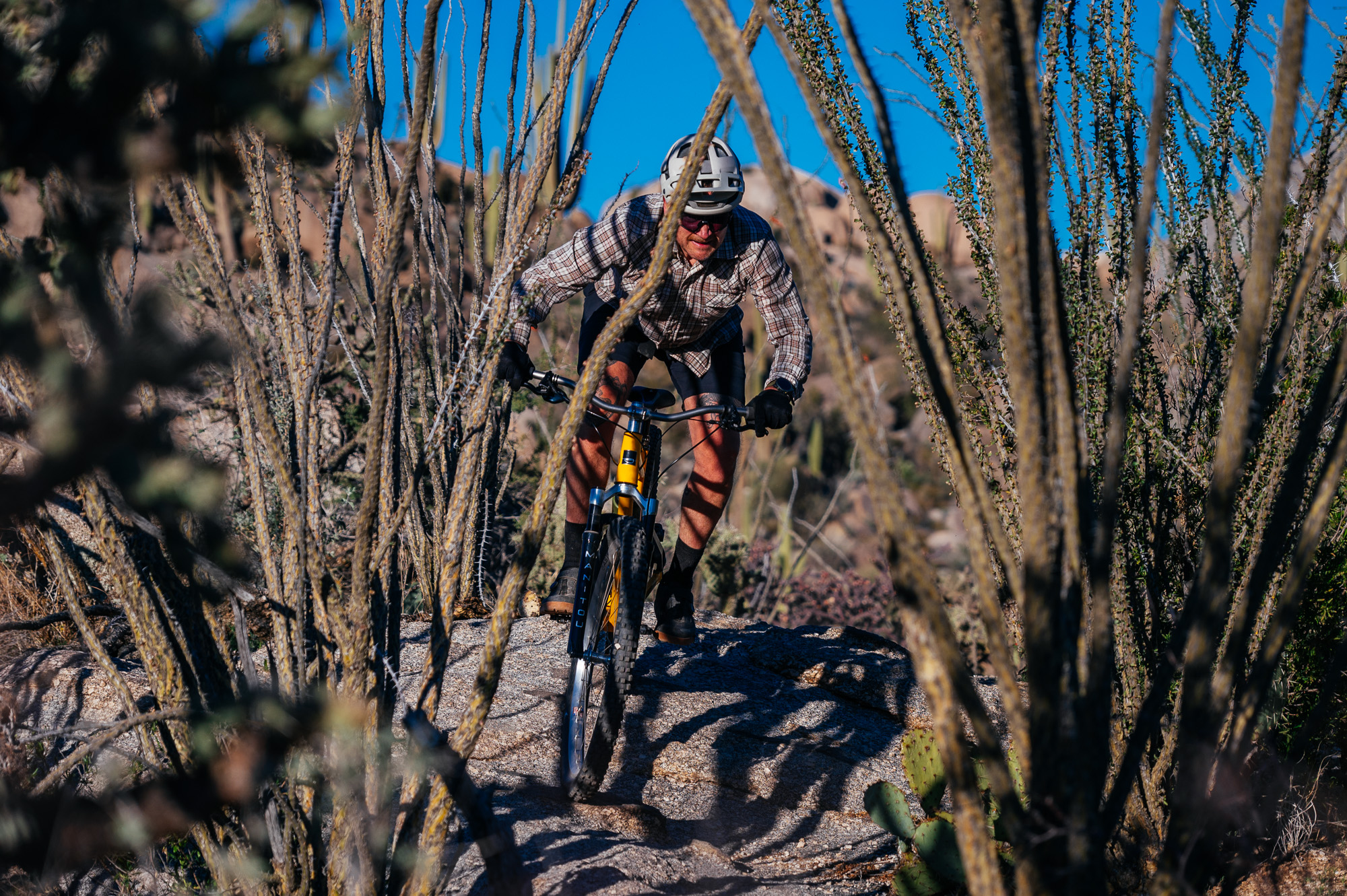 Sour Bicycles Cowboy Cookie Review
