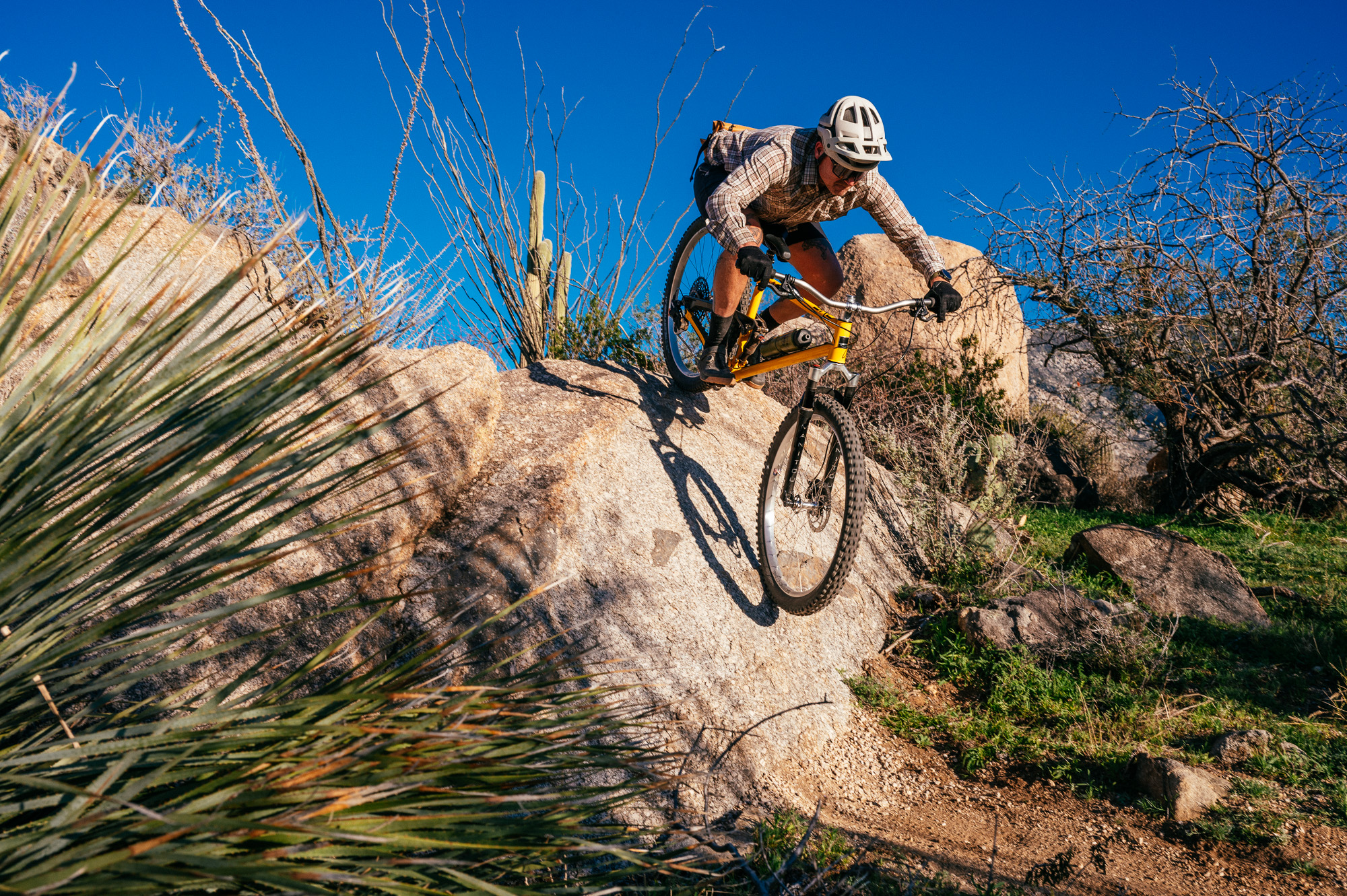 Sour Bicycles Cowboy Cookie Review
