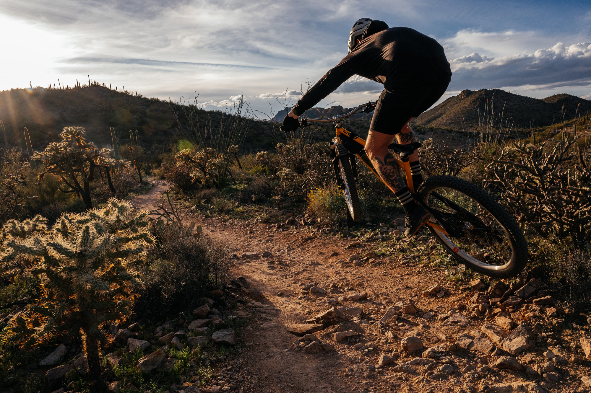 Sour Bicycles Cowboy Cookie Review