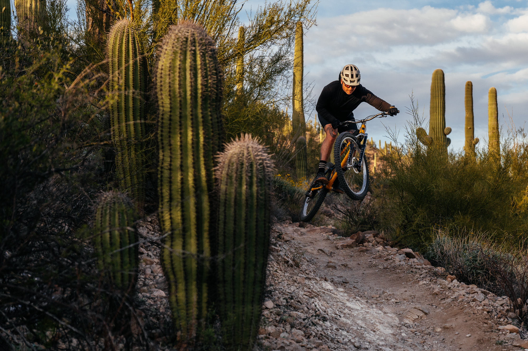 Sour Bicycles Cowboy Cookie Review