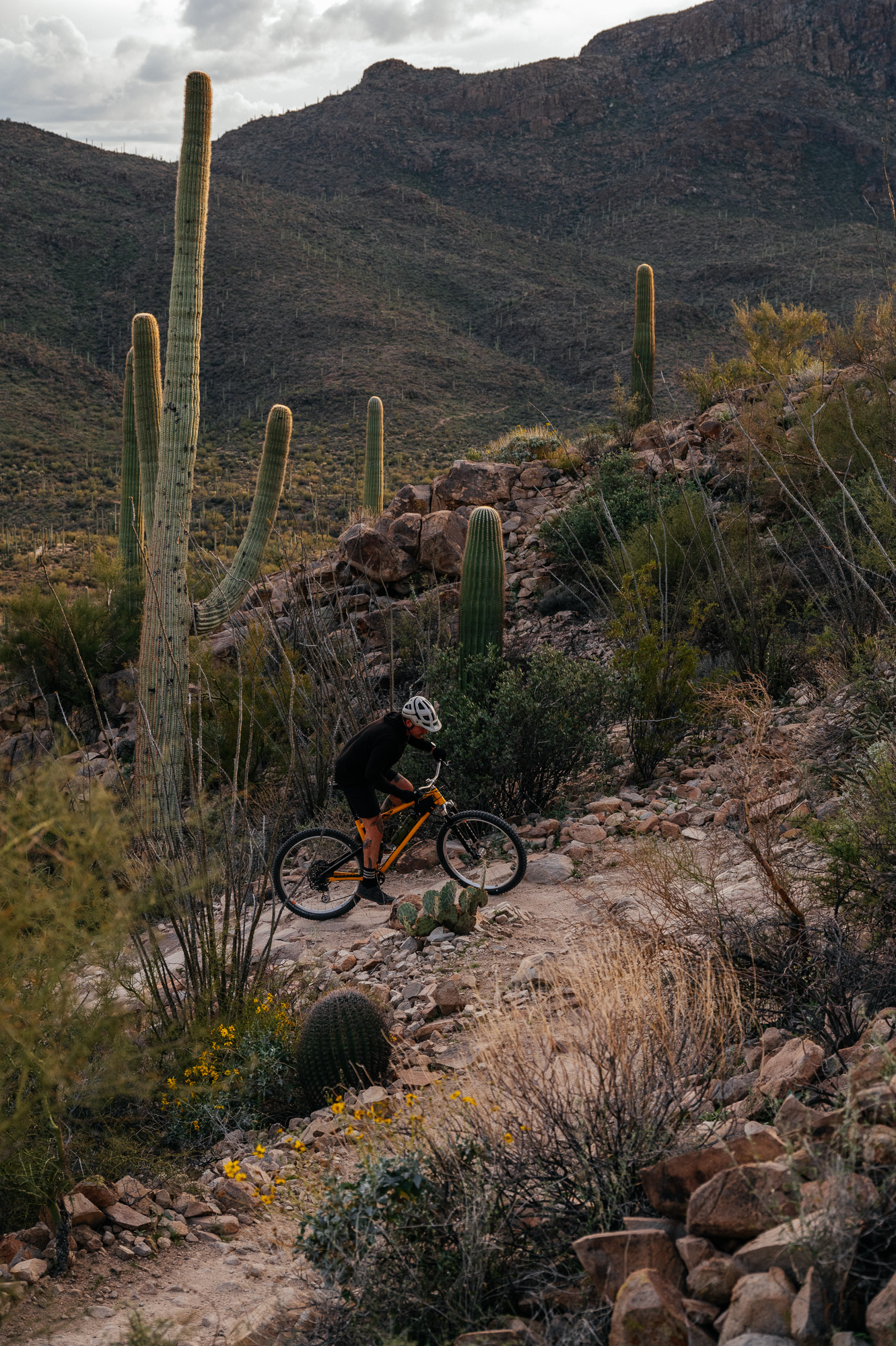 Sour Bicycles Cowboy Cookie Review