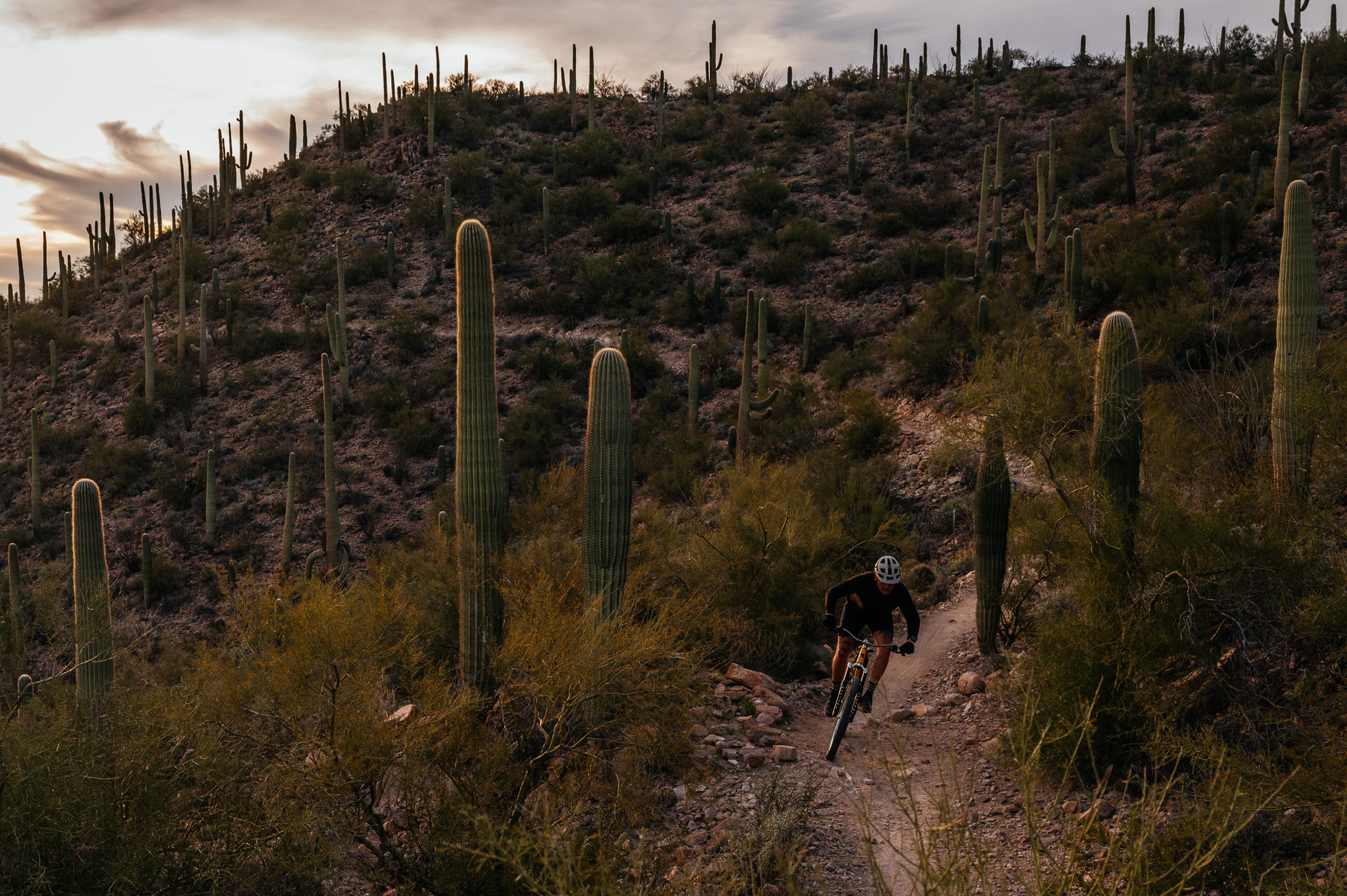 Sour Bicycles Cowboy Cookie Review