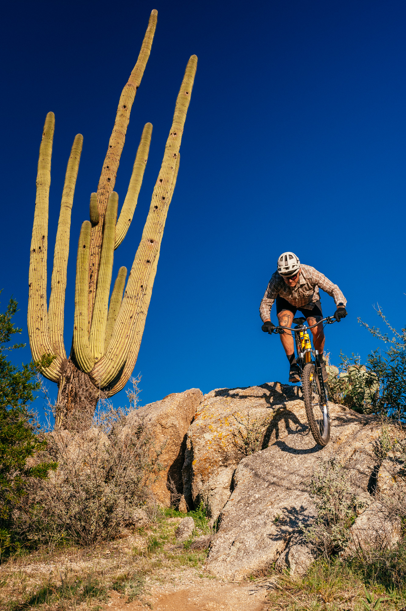 Sour Bicycles Cowboy Cookie Review