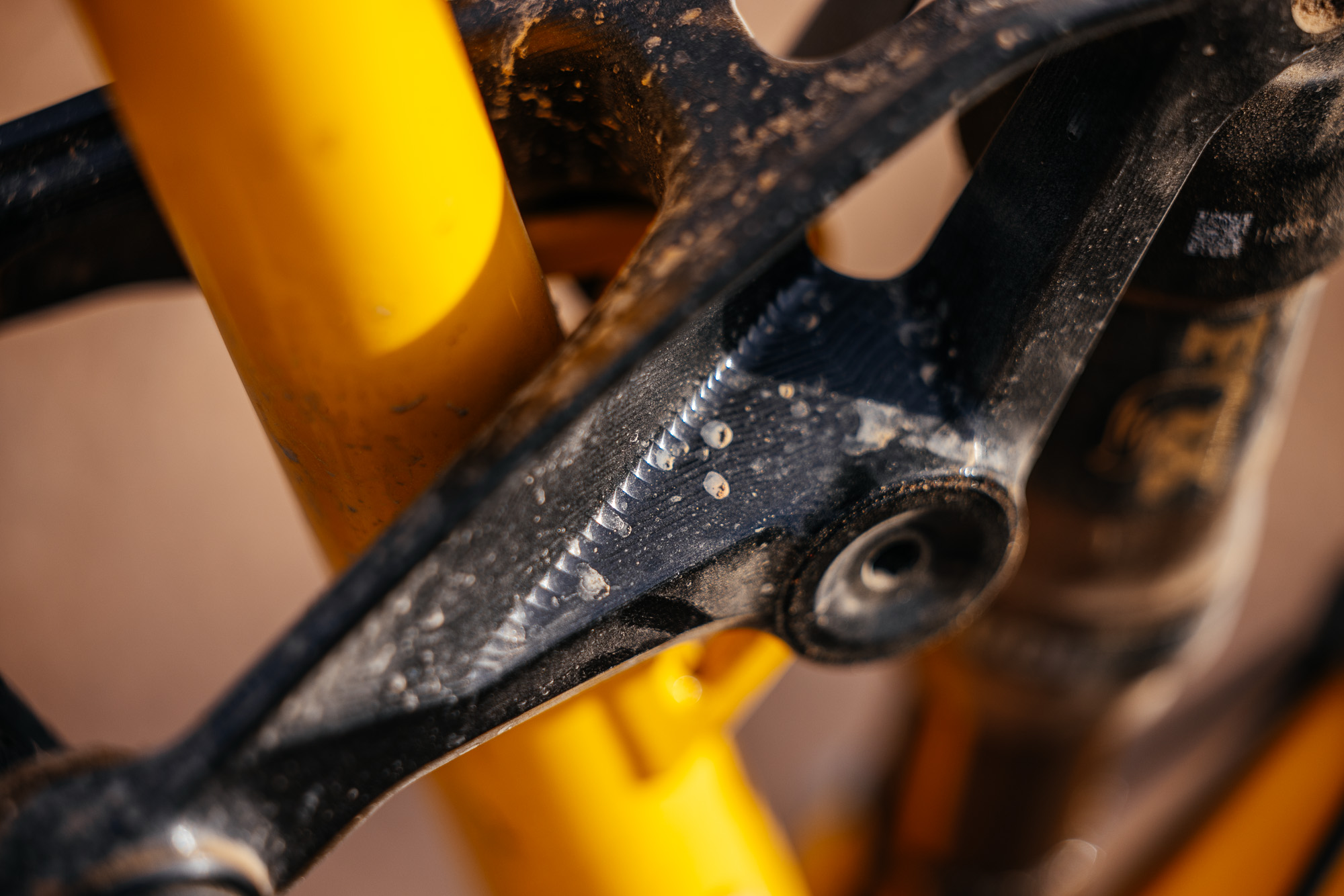 Sour Bicycles Cowboy Cookie Review-73