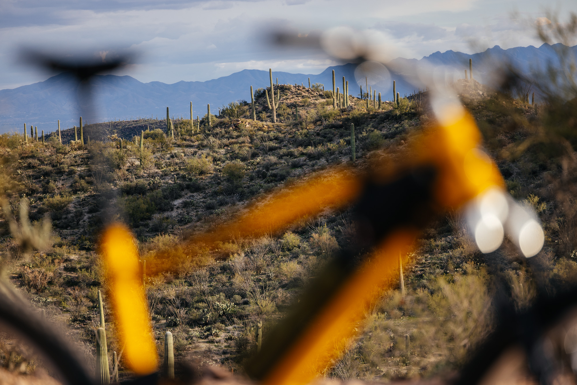 Sour Bicycles Cowboy Cookie Review-97