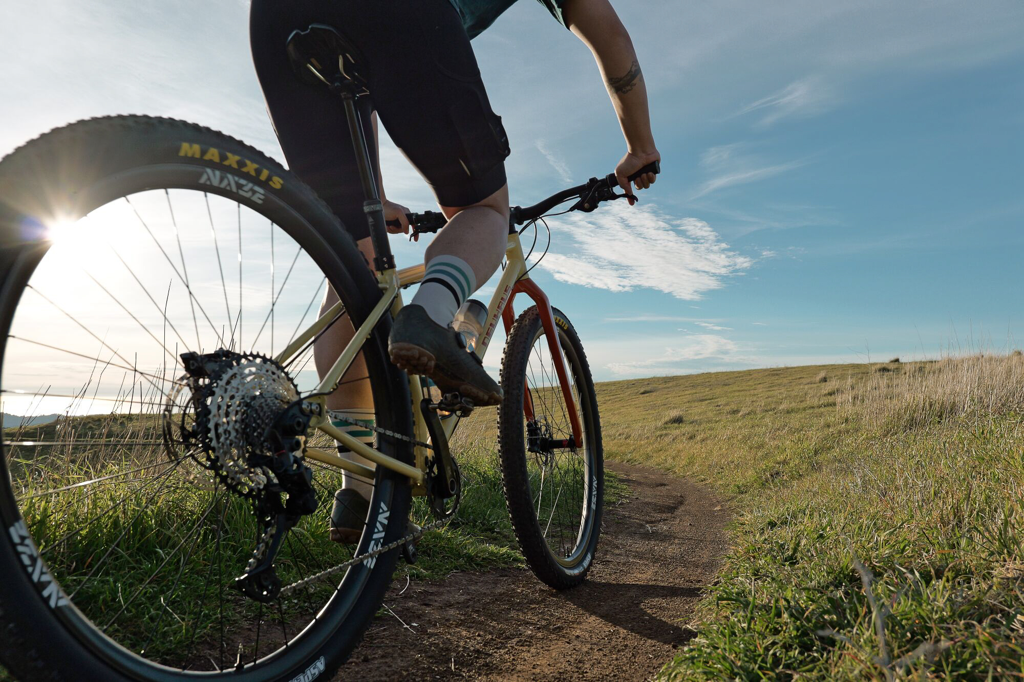 Neuhaus Announces Its NOVA32 Rigid 32er MTB | The Radavist | A group of ...
