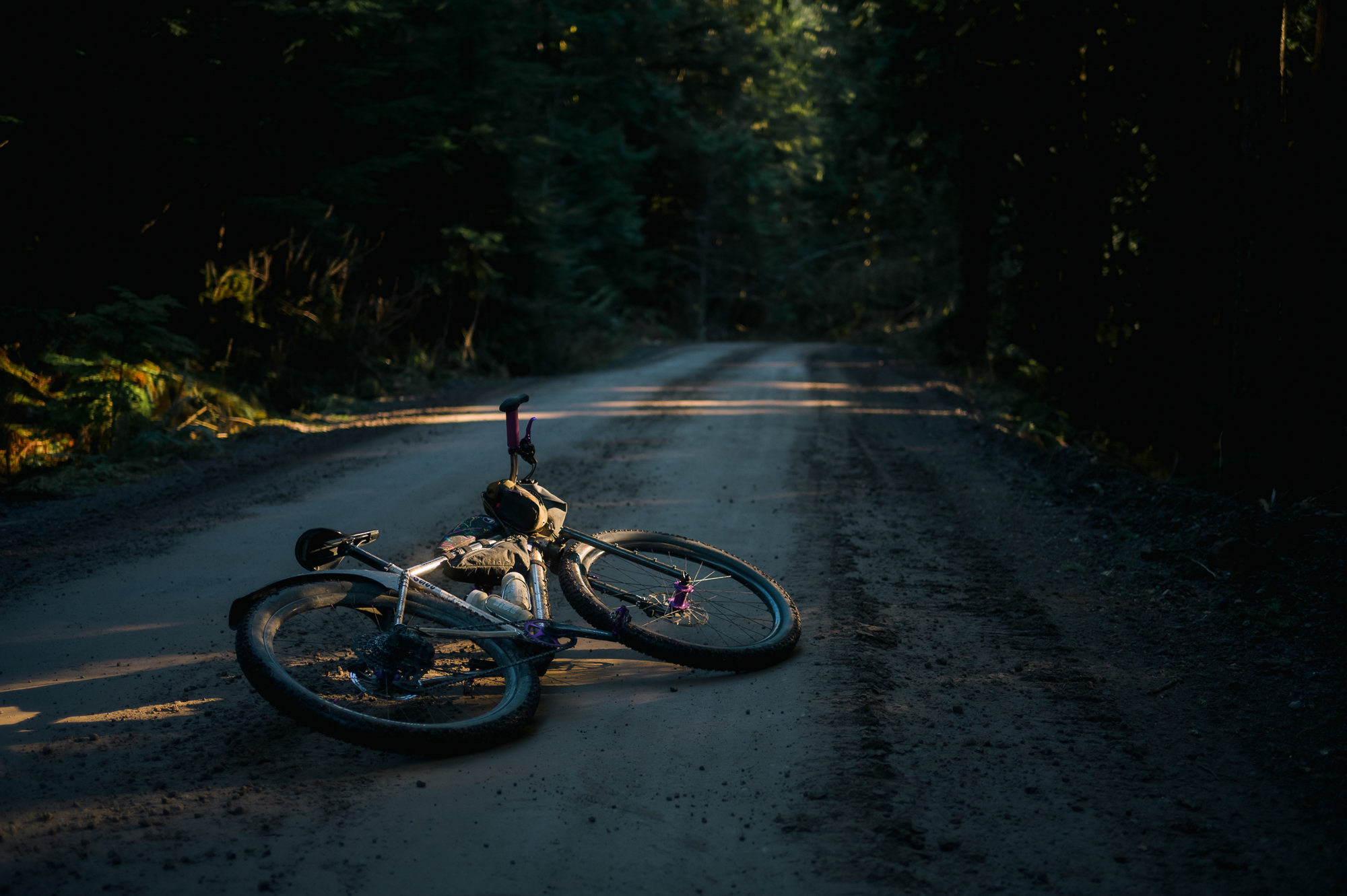 OneUp Components XC Clip Pedal: Initial Impressions and Review