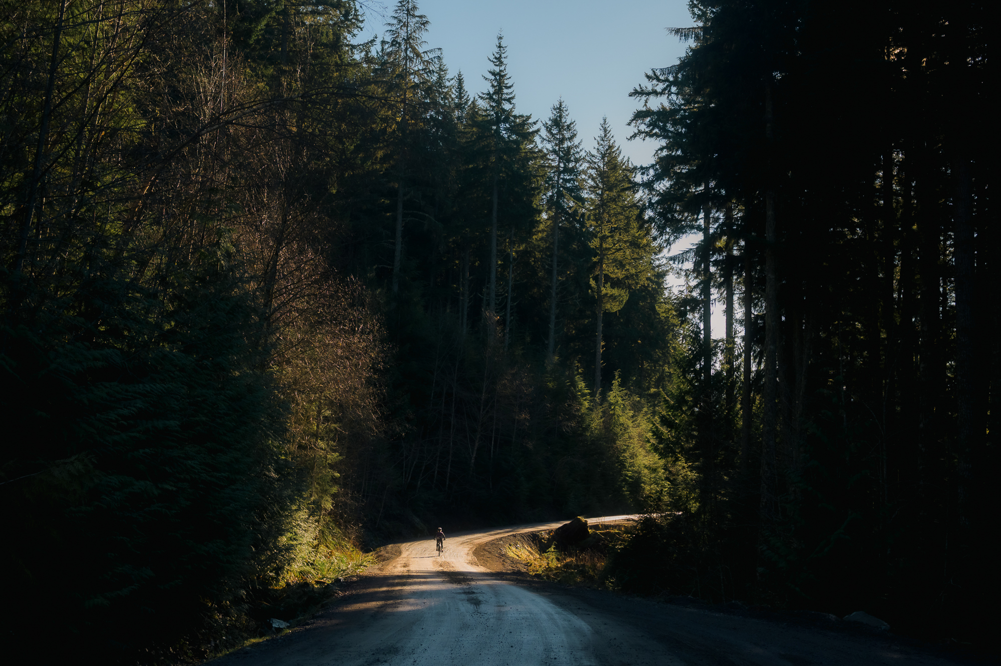 OneUp Components XC Clip Pedal: Initial Impressions and Review