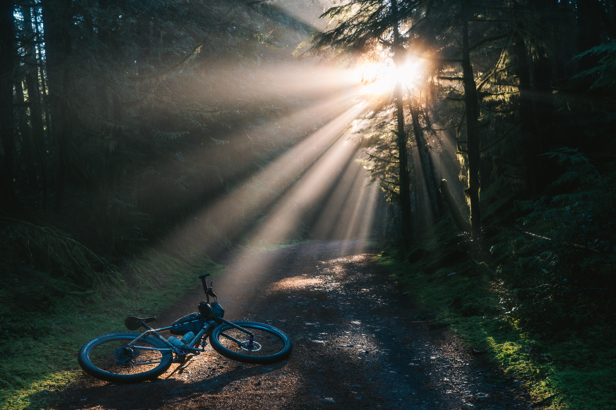 OneUp Components XC Clip Pedal: Initial Impressions and Review