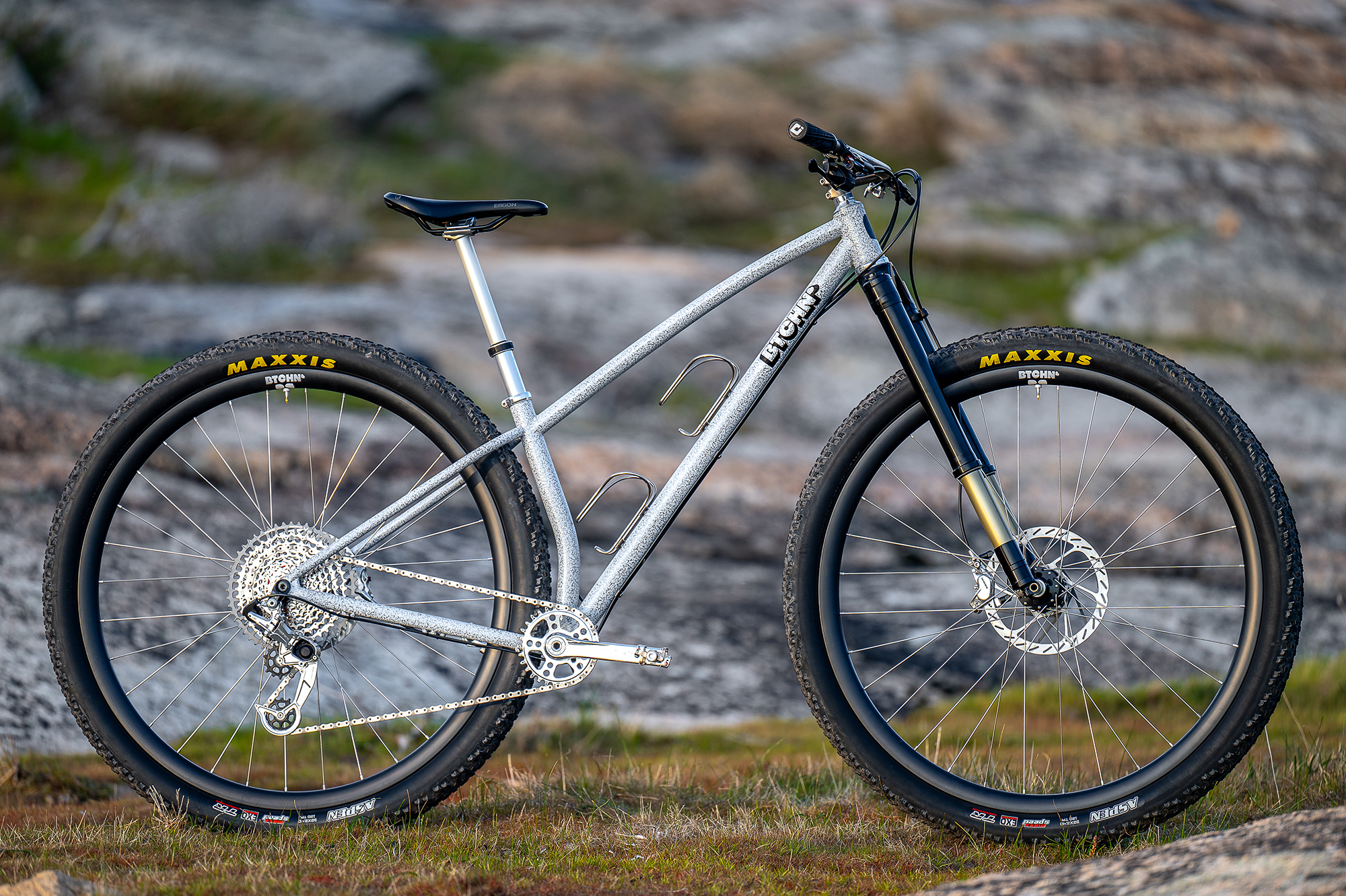 Btchn’ Bikes Alpina 32er Hardtail
