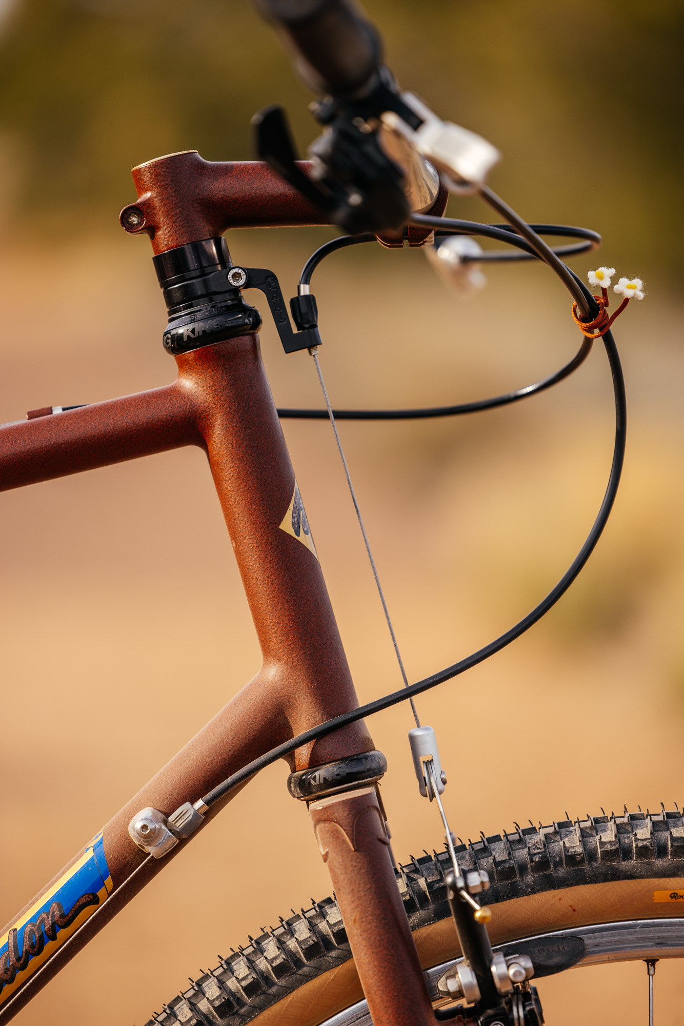 John’s 2015 Bruce Gordon Monster Cross: Flat Bar Gravel – John Watson ...