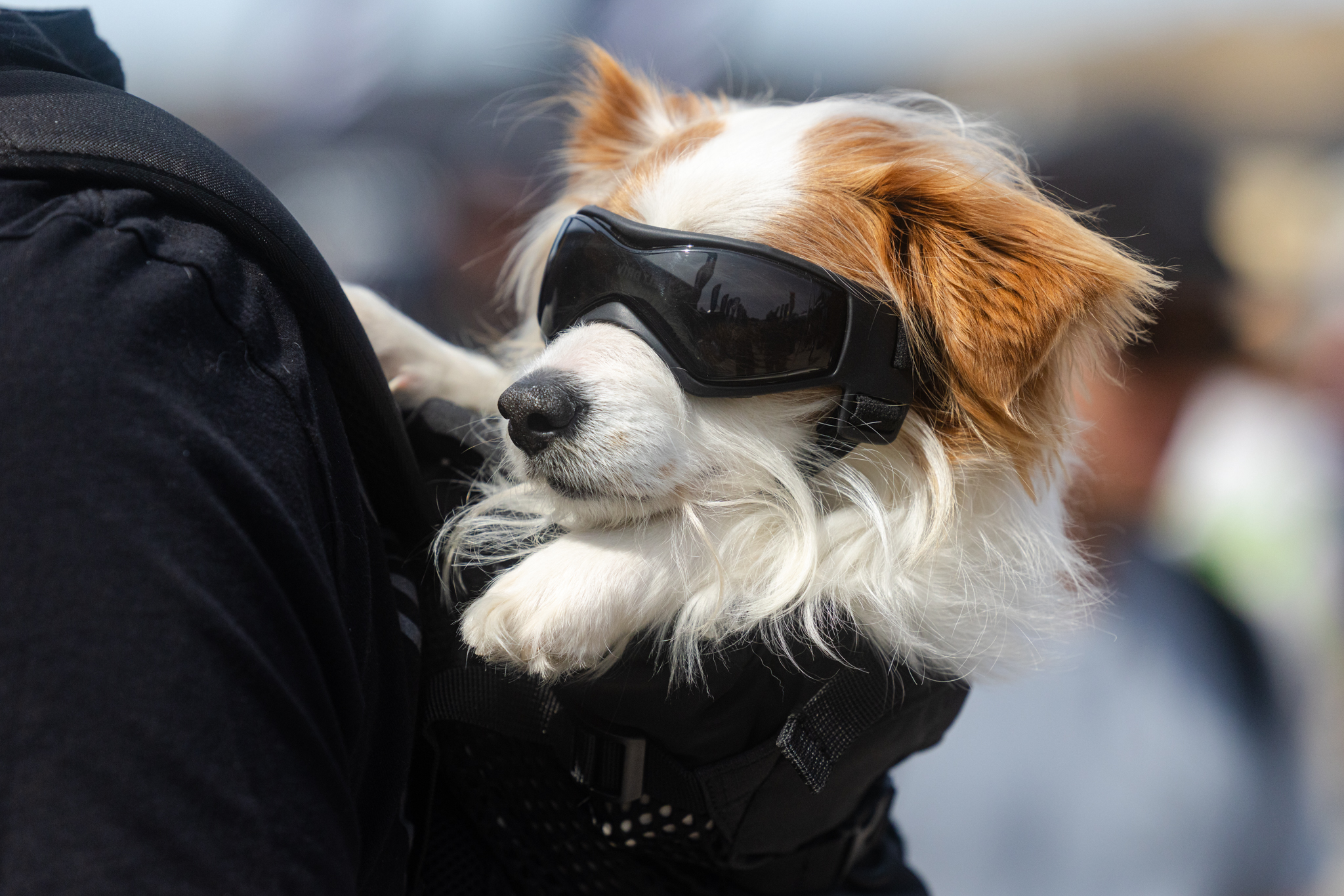 2026 Sea Otter Classic: Day 03 – Travis Engel