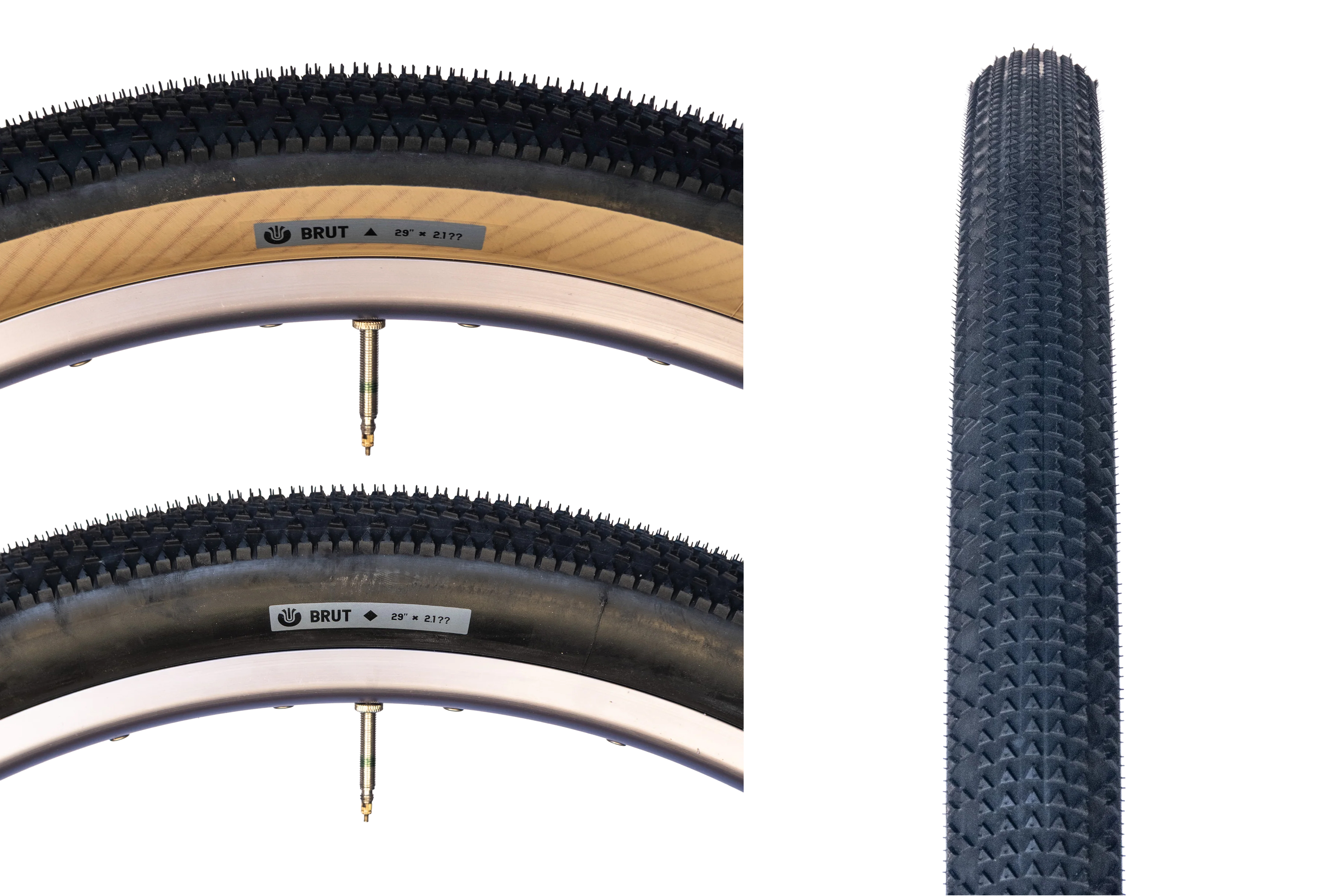 Ultradynamico Brut is a 29 x 2.1″ Tire For Fast, Dry Terrain