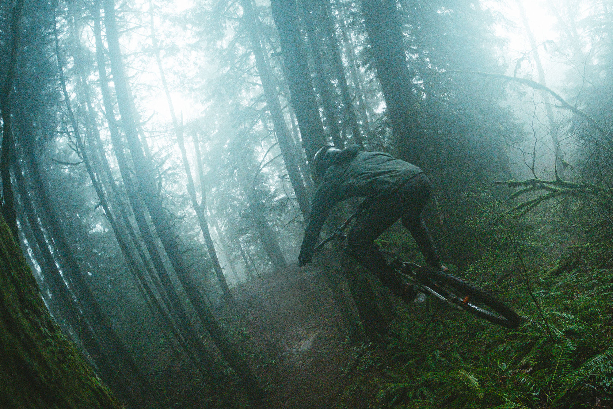 Wolf Tooth Shift Clipless Pedals are 15 mm Thin | The Radavist | A ...