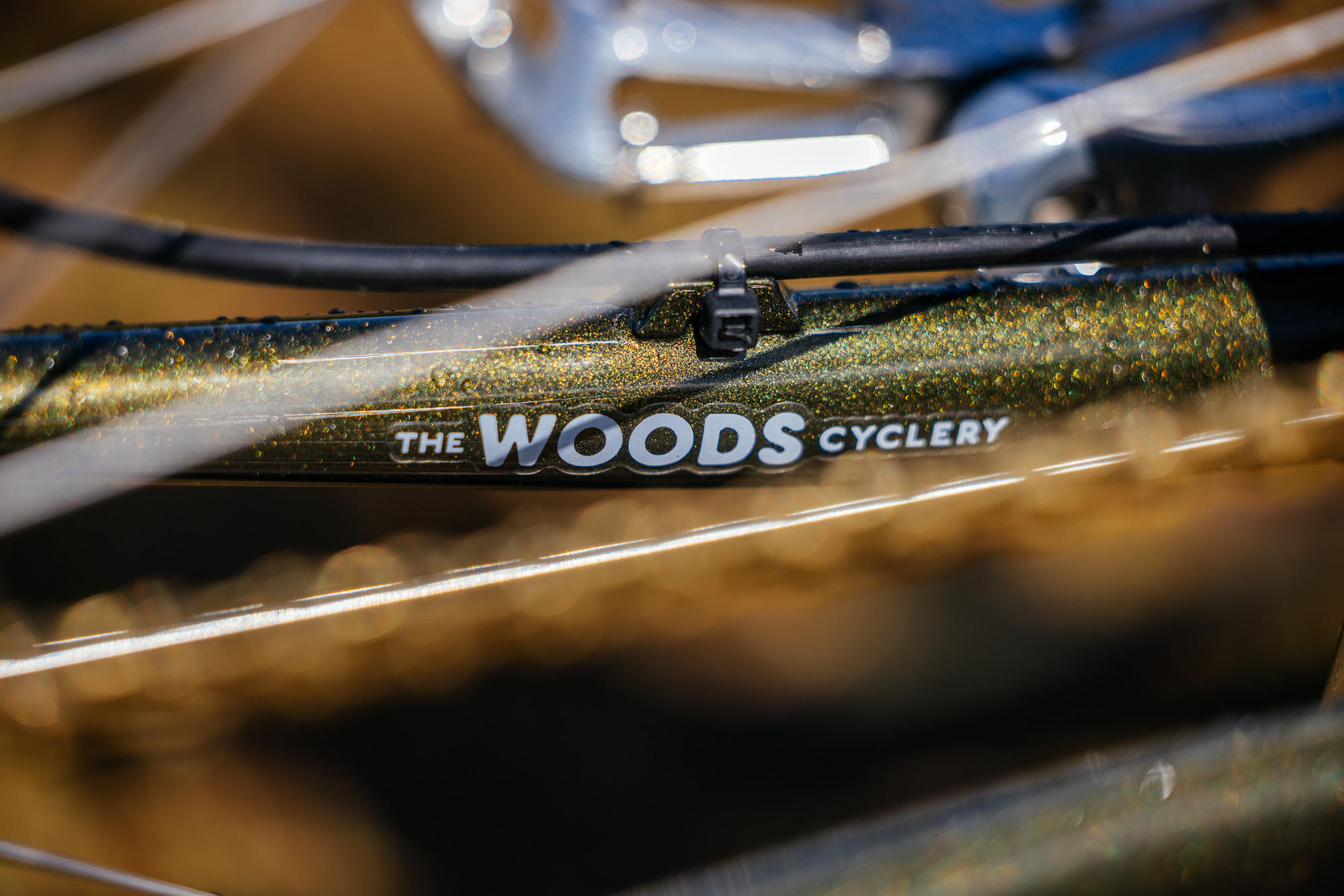 A Special Brother Cycles Kepler Build by The Woods Cyclery – John ...