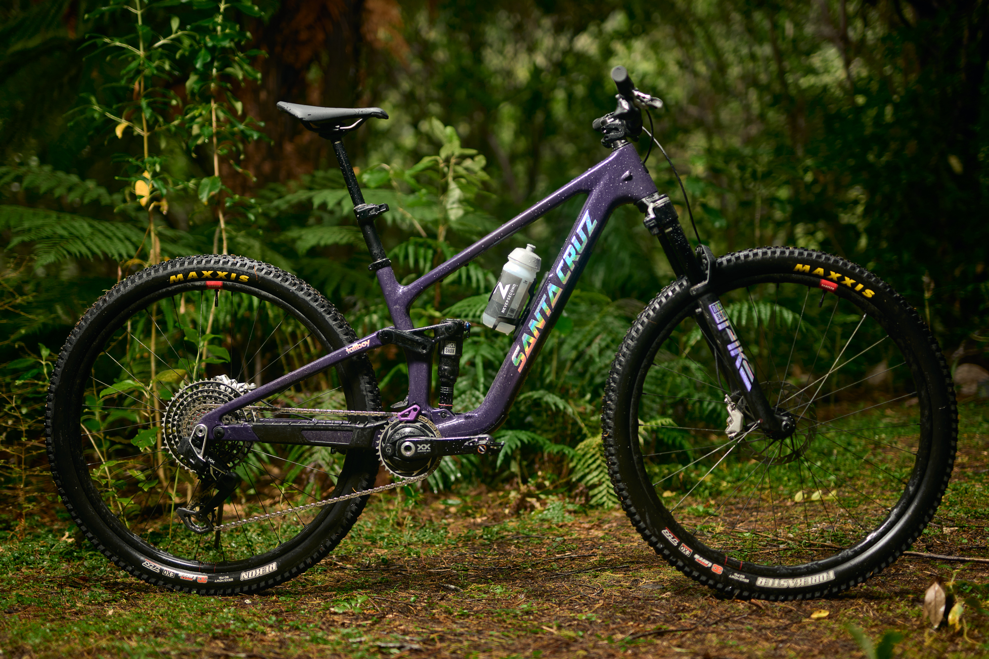 Santa 2026 The Ride: First ピペル　オルナツム　④ Cruz Reinvented Fully Been Has Tallboy その他観葉植物