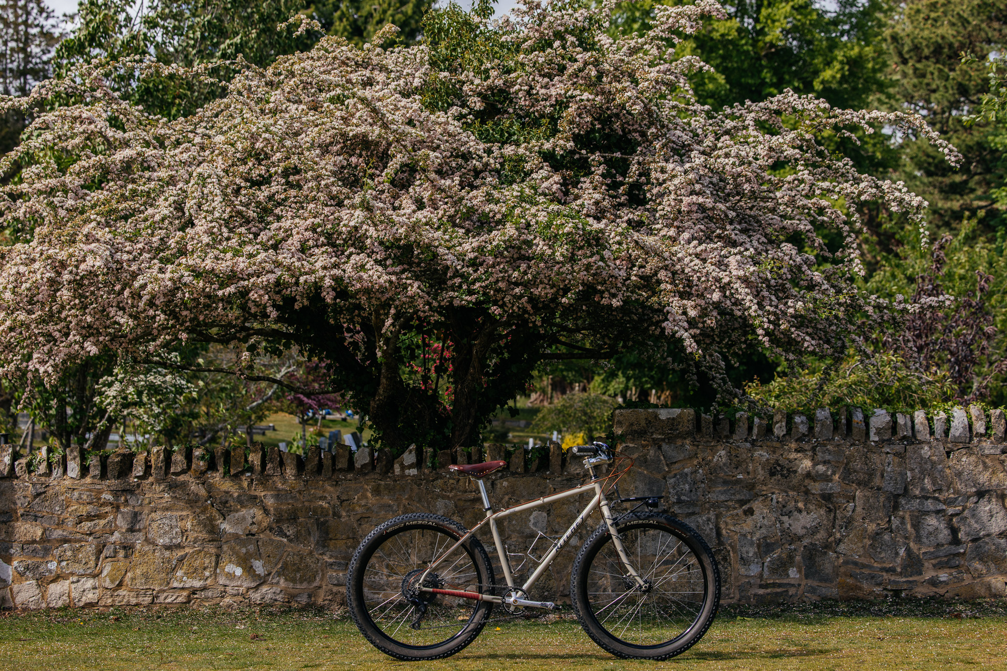 The Woods Cyclery Builds: Robbie’s Ascent and Dan’s Bridge Club – John ...