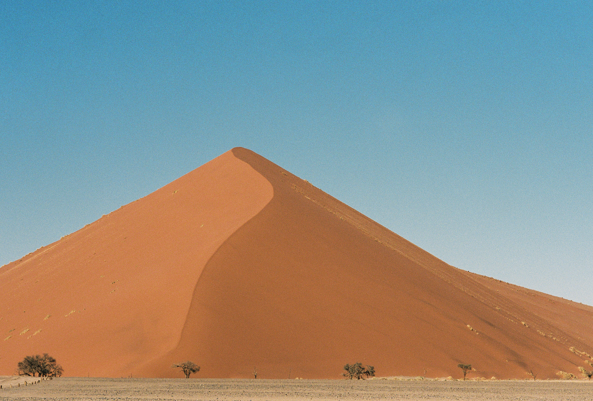 COGTINUUM: 2500 KM Through the Desert on All Gravel Fixed Gears – Donnet Dumas & Stan Engelbrecht