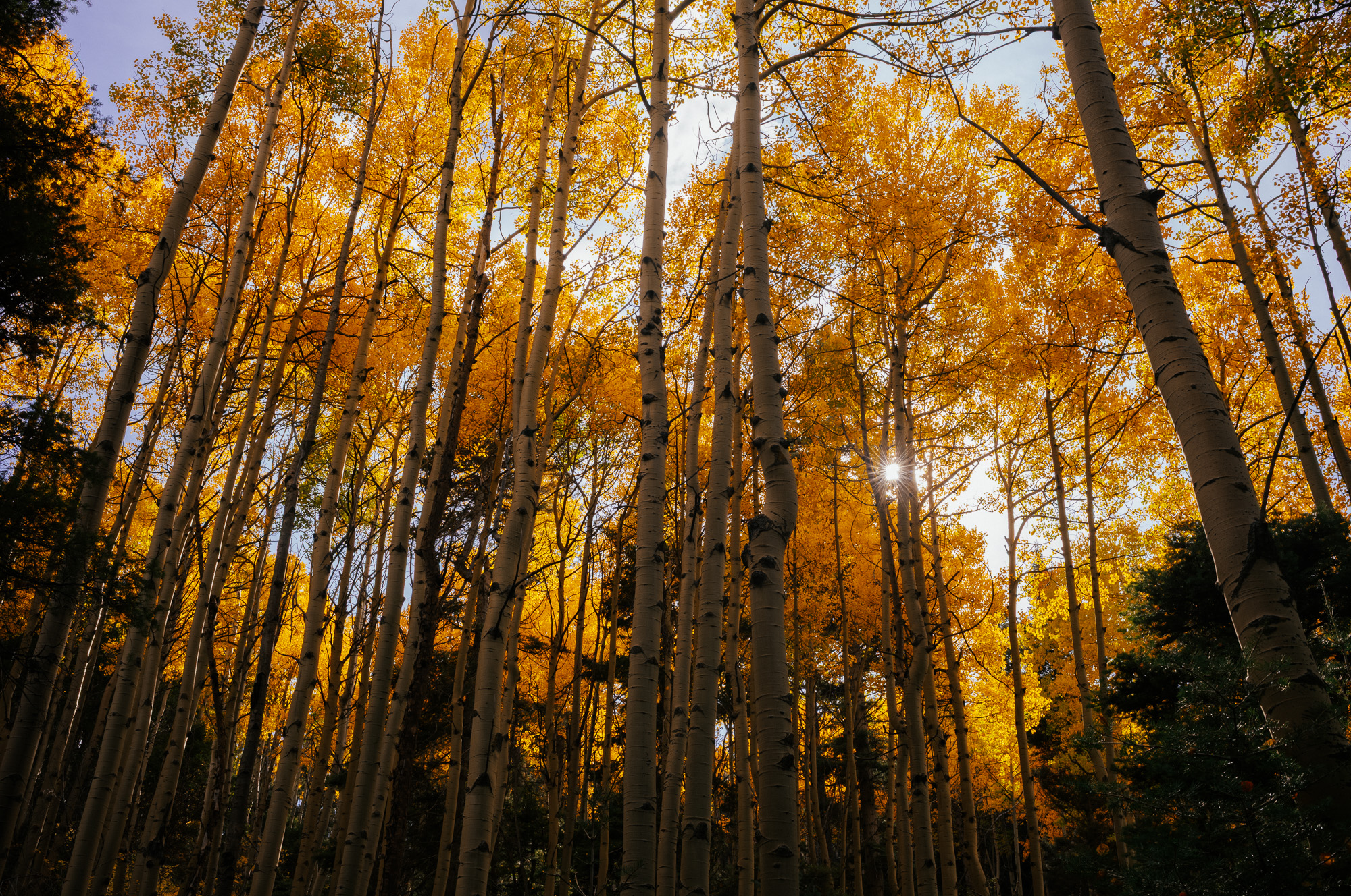 Peak Leaf Peep Weekend: Riding Two Northern New Mexico Classics – John Watson